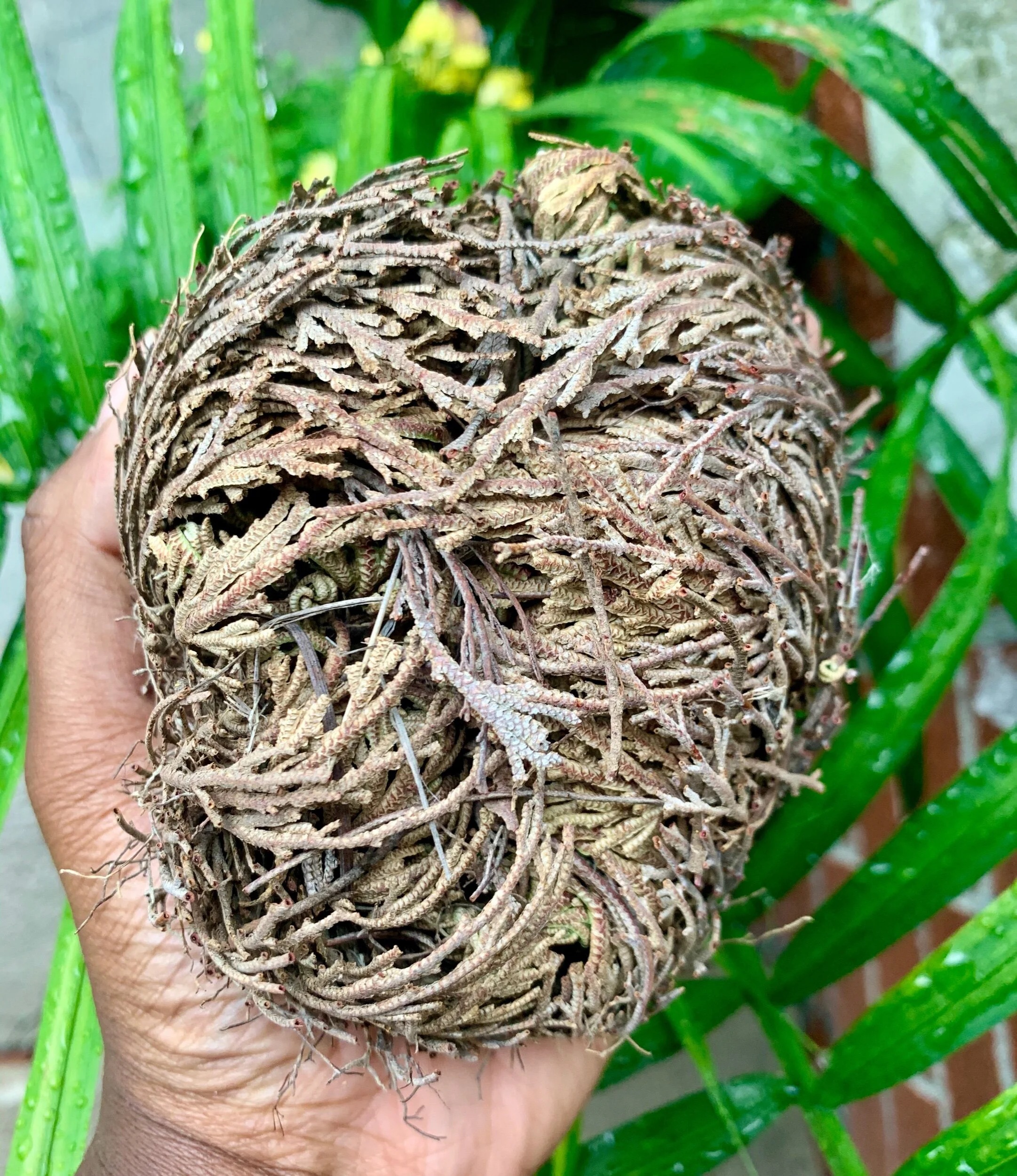 905726C4-B40B-4E9C-805B-26AAAA15C5F6