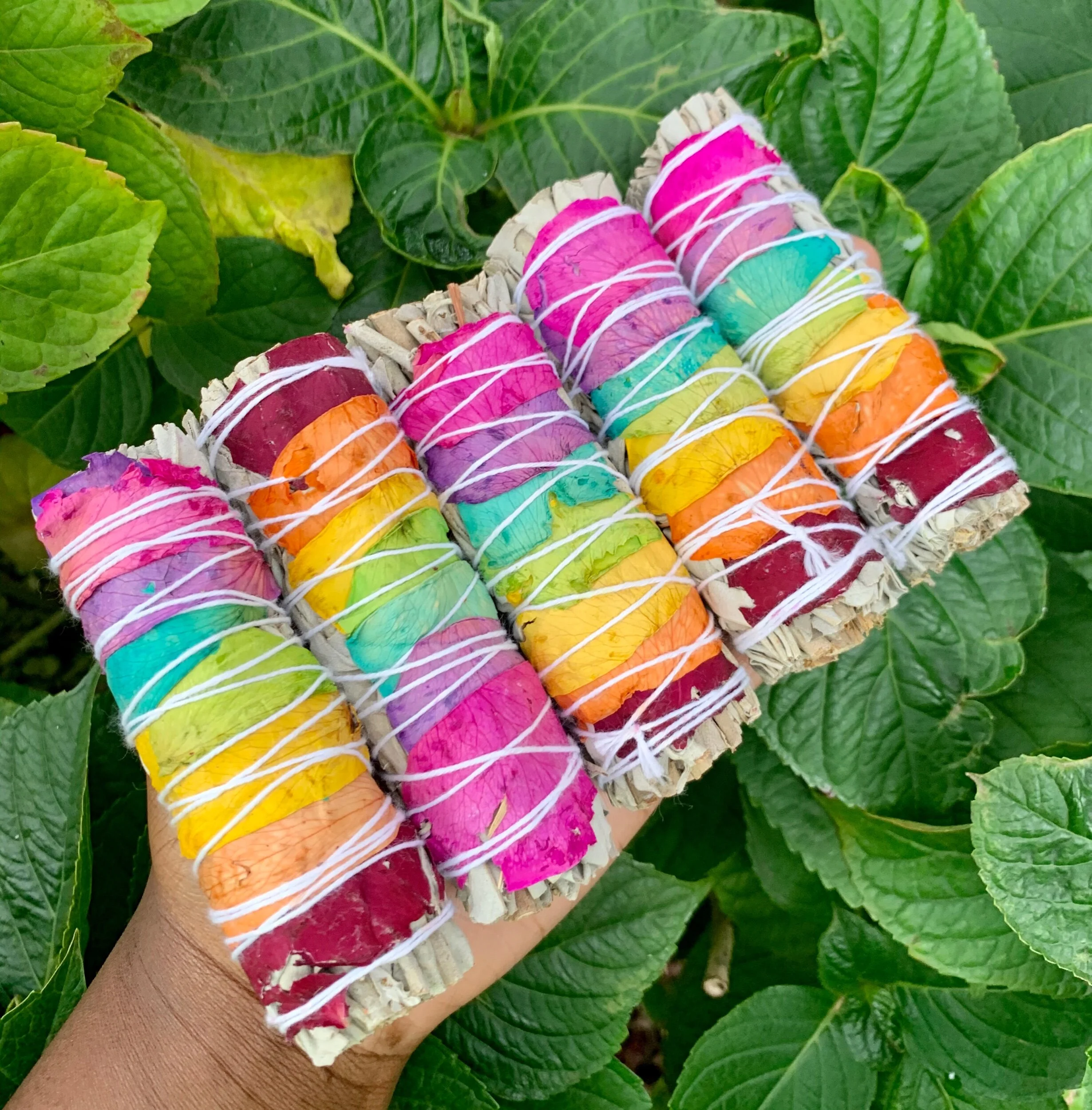 0C6E0CD2-AAD0-4DEF-801C-F3ED6F832230