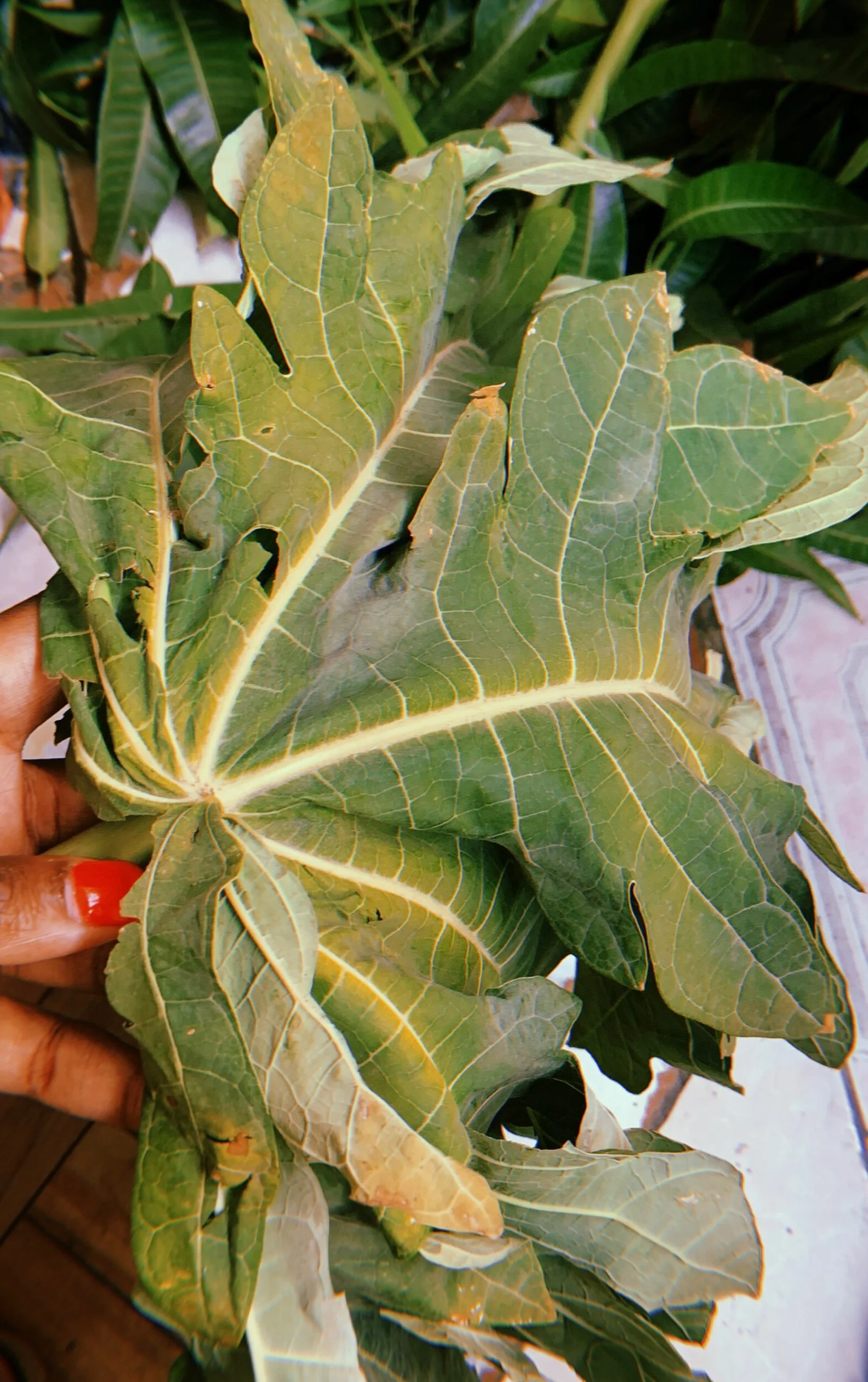 E3ACFA68-46A0-452E-A249-4551A9B168AC