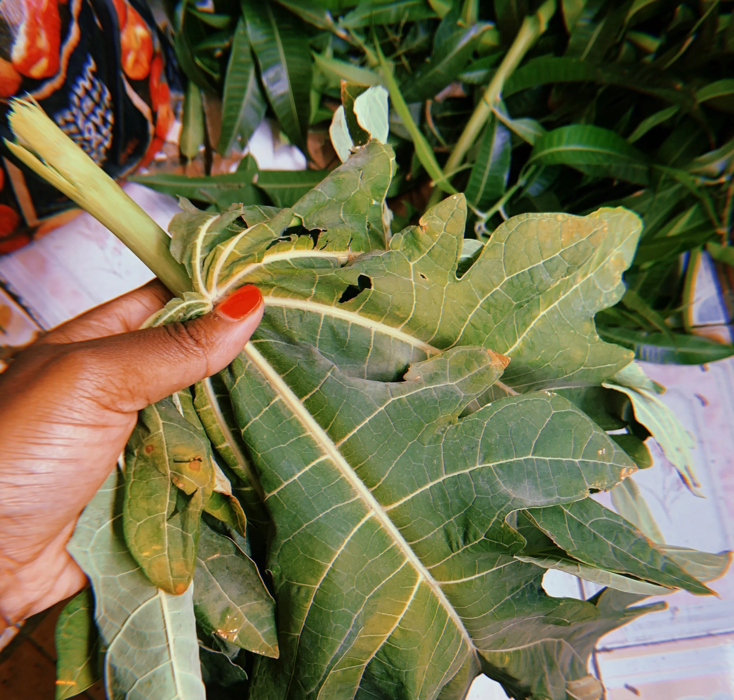 DE82EA42-381F-47A4-B064-2D08DFCEFF66