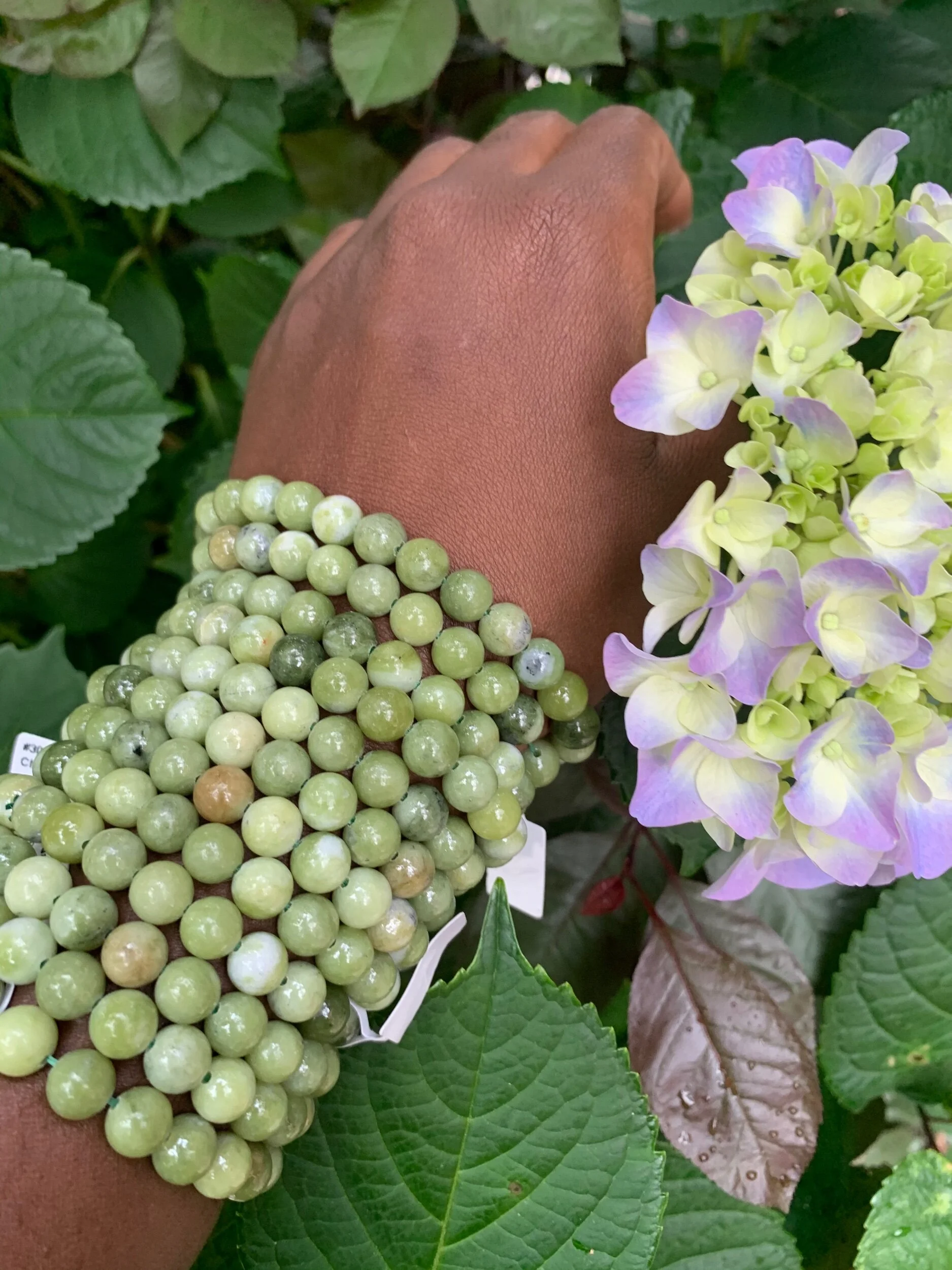 855ECC7C-0206-43D0-8AB1-49DBFBDA1709