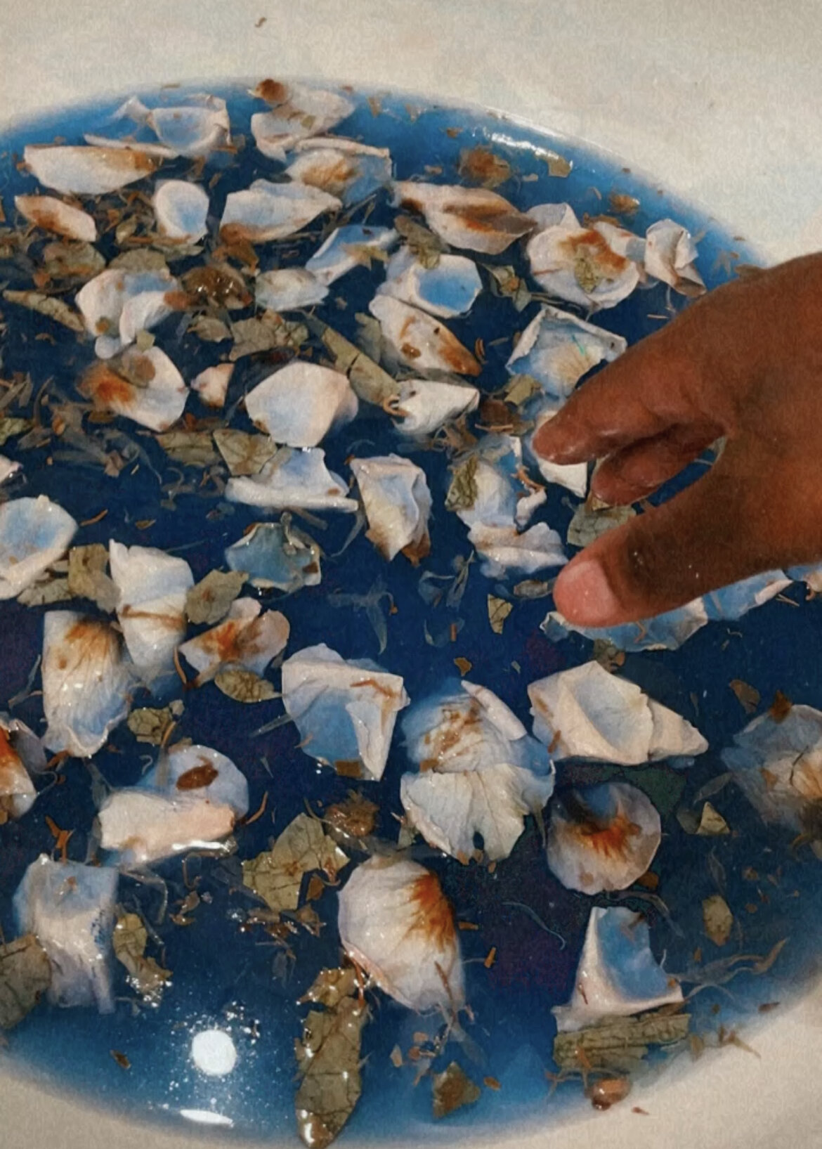 AB0A237B-B6FC-487A-8585-B38226239038