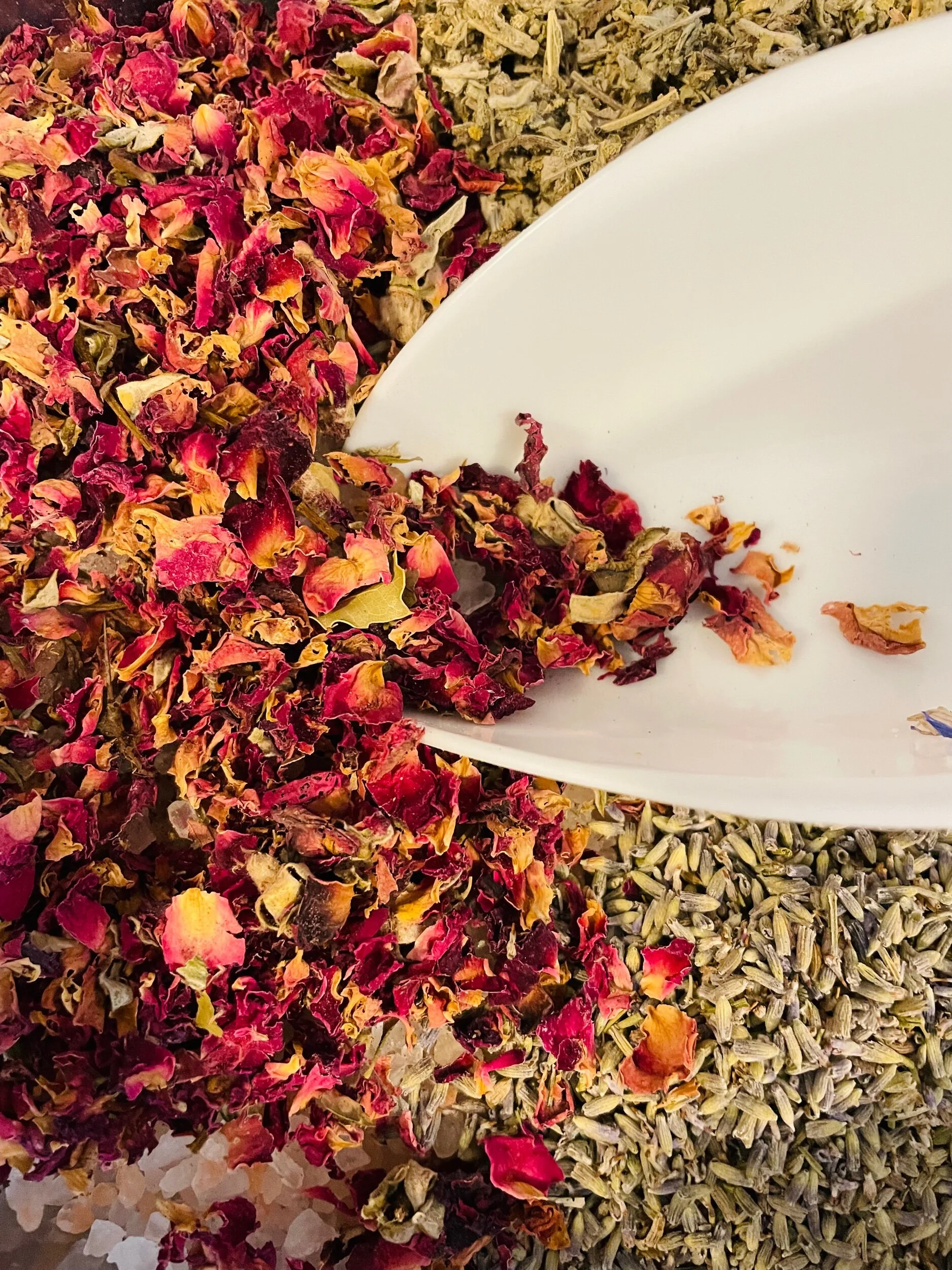 5810EB6E-B603-49A9-B6FE-8AE1D751A049