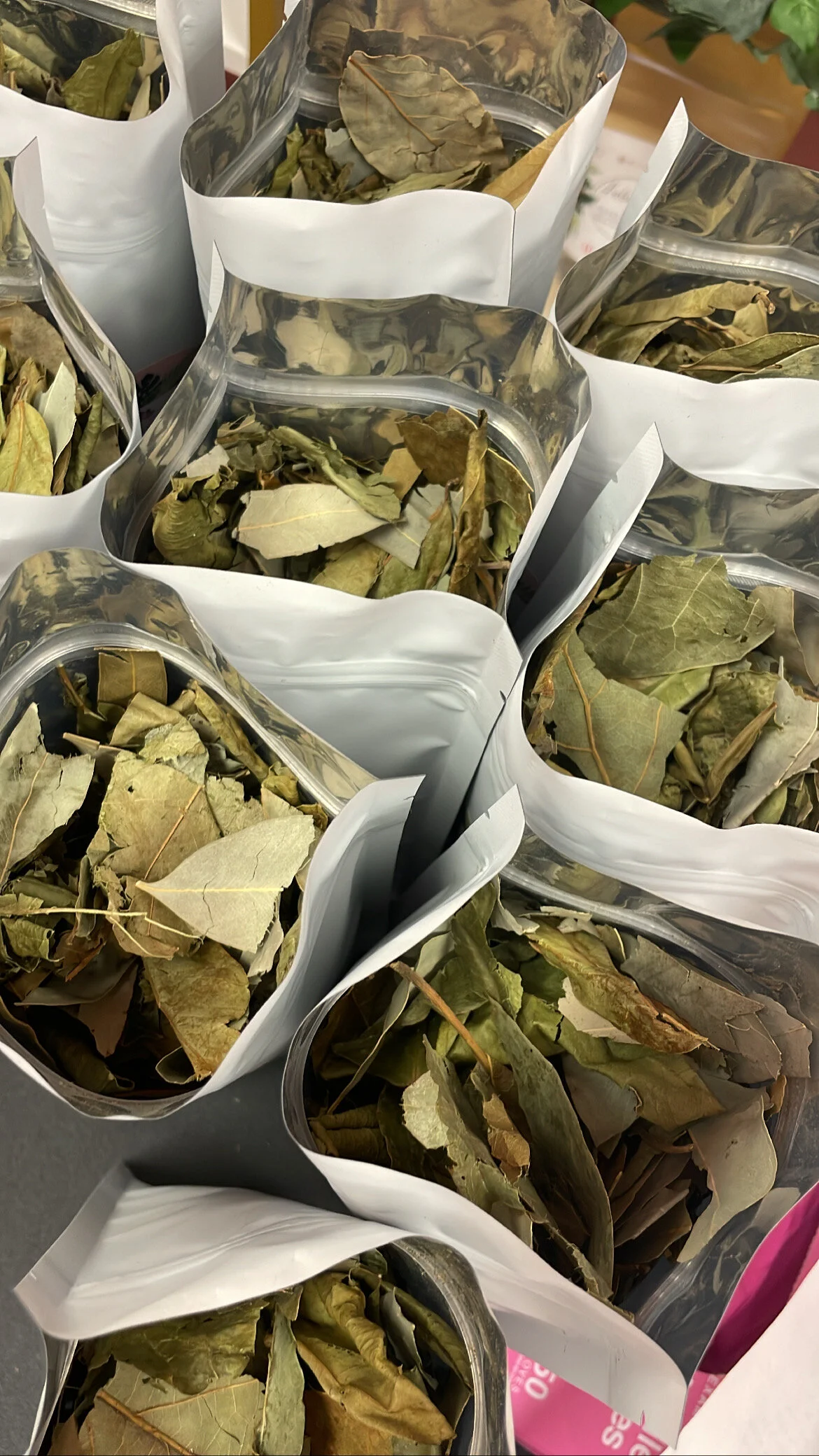 9FB5058F-585B-48BD-A62E-011937CBA042