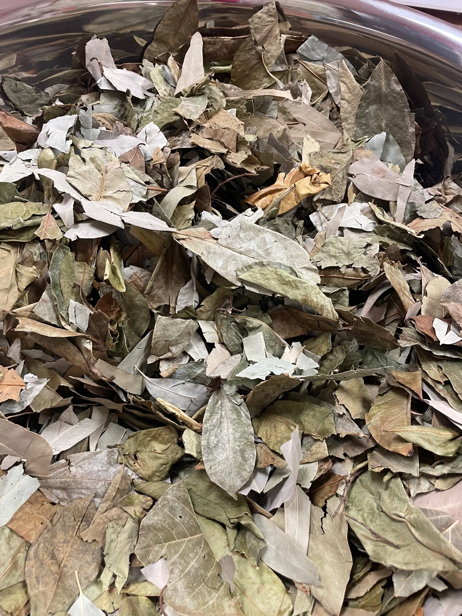 8F69AB29-FB39-47C7-A9AB-8AF58BCACDFF