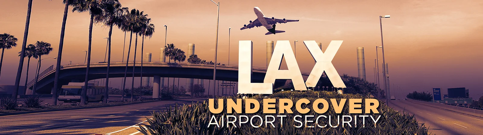 Lax Under Cover: Airport Security