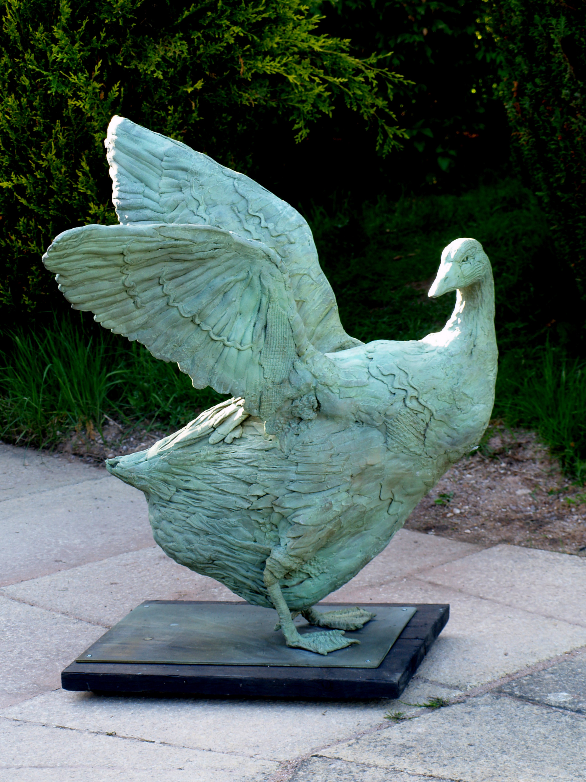Ganzebord Gans