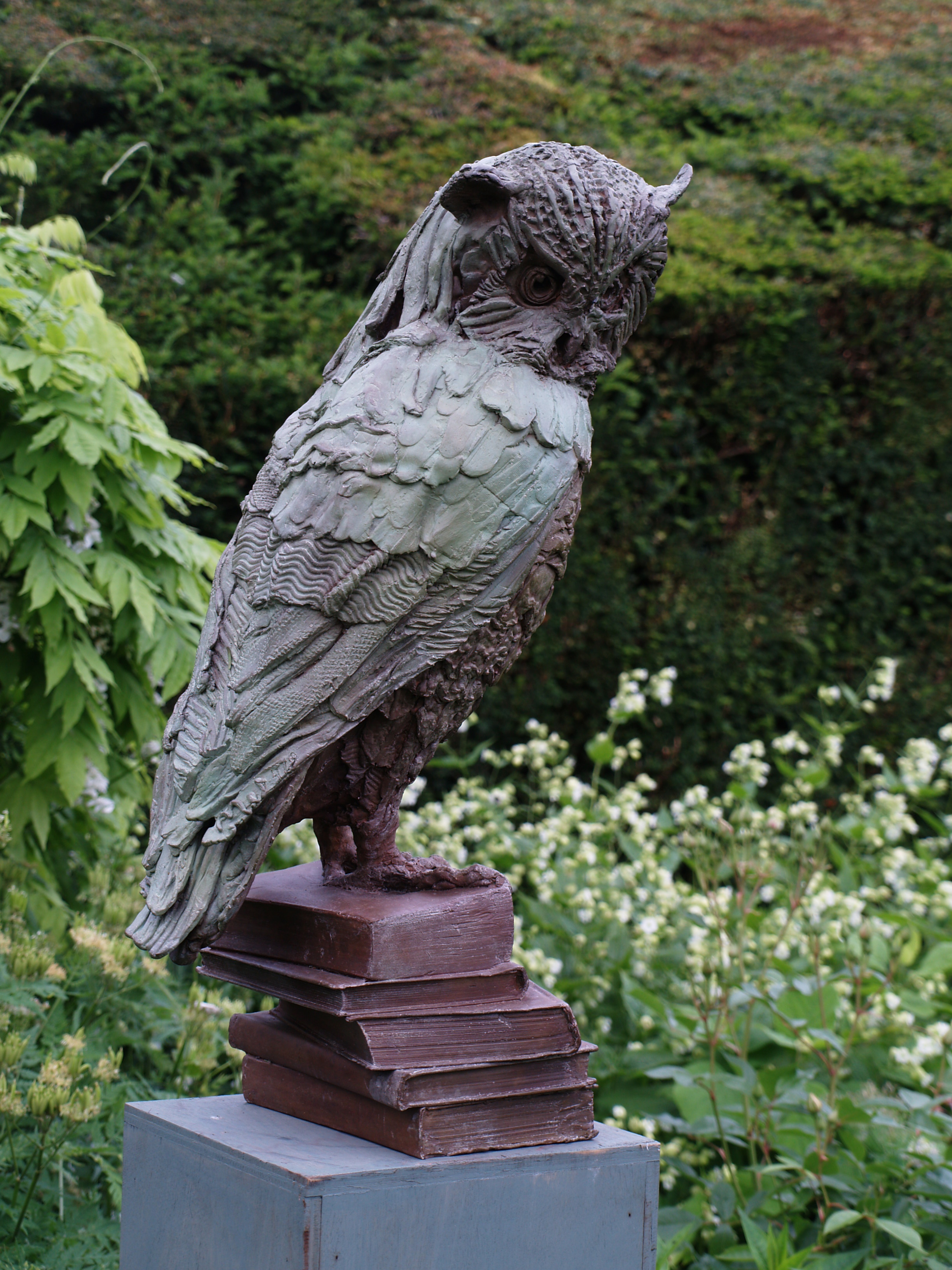 Owl of Few Words