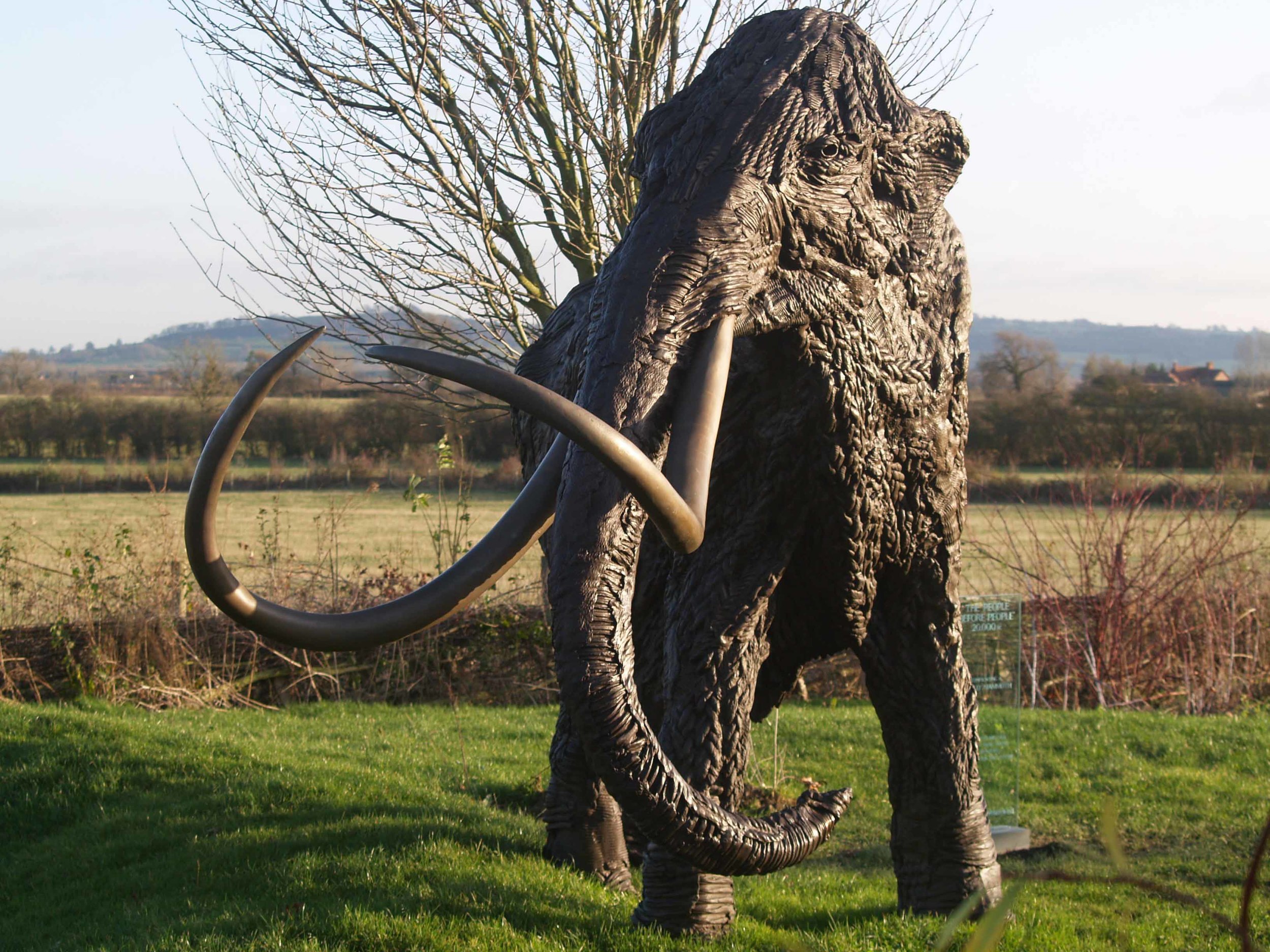 Mammoth