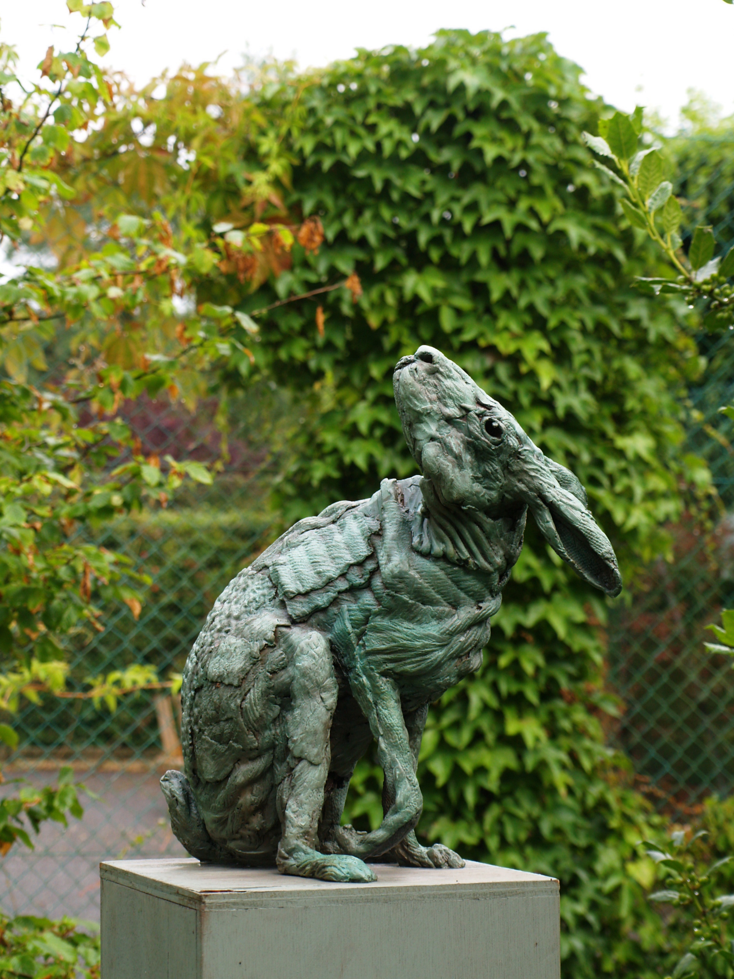 Hare after Ts'ui Po