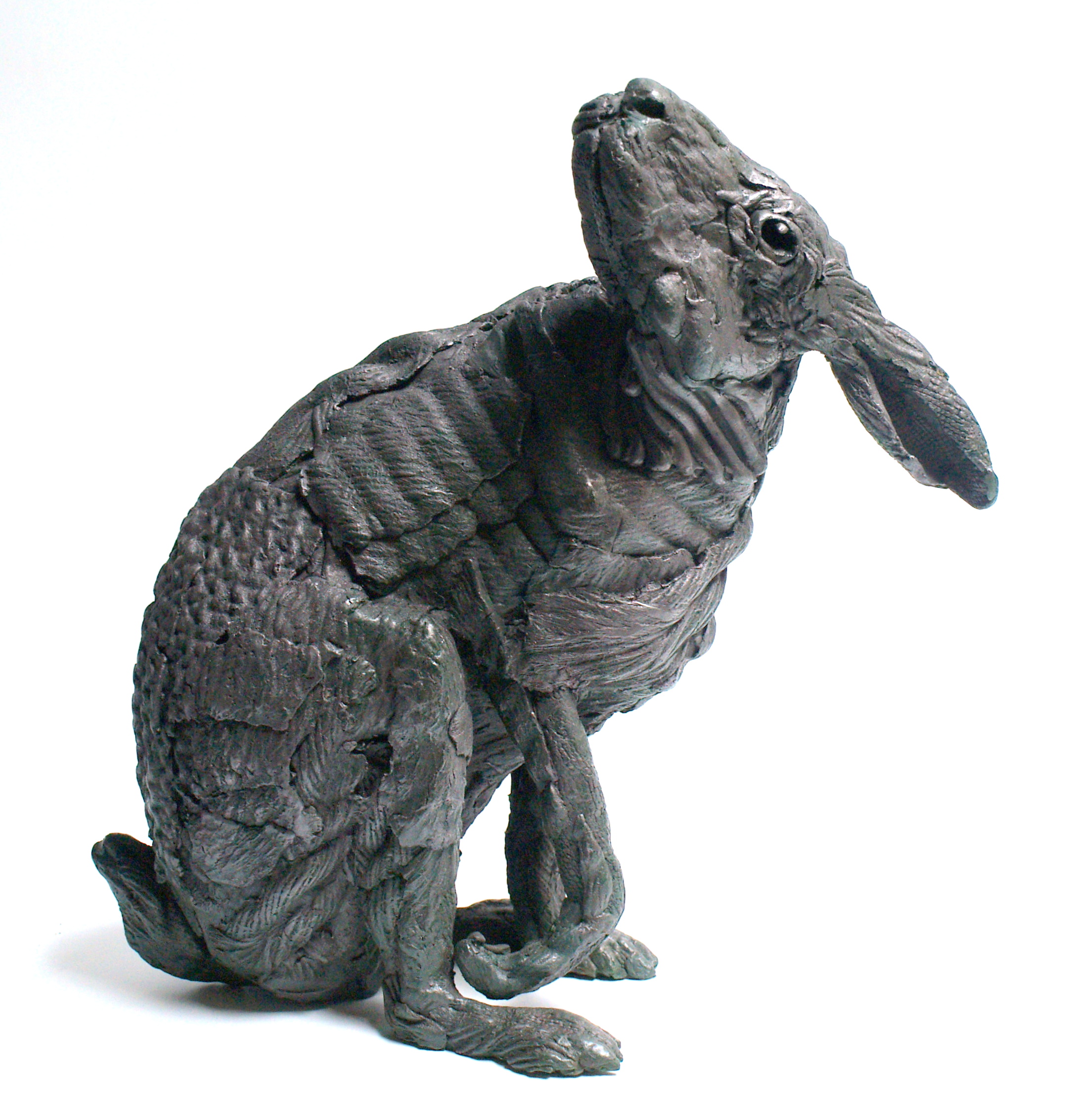 Hare after Ts'ui Po