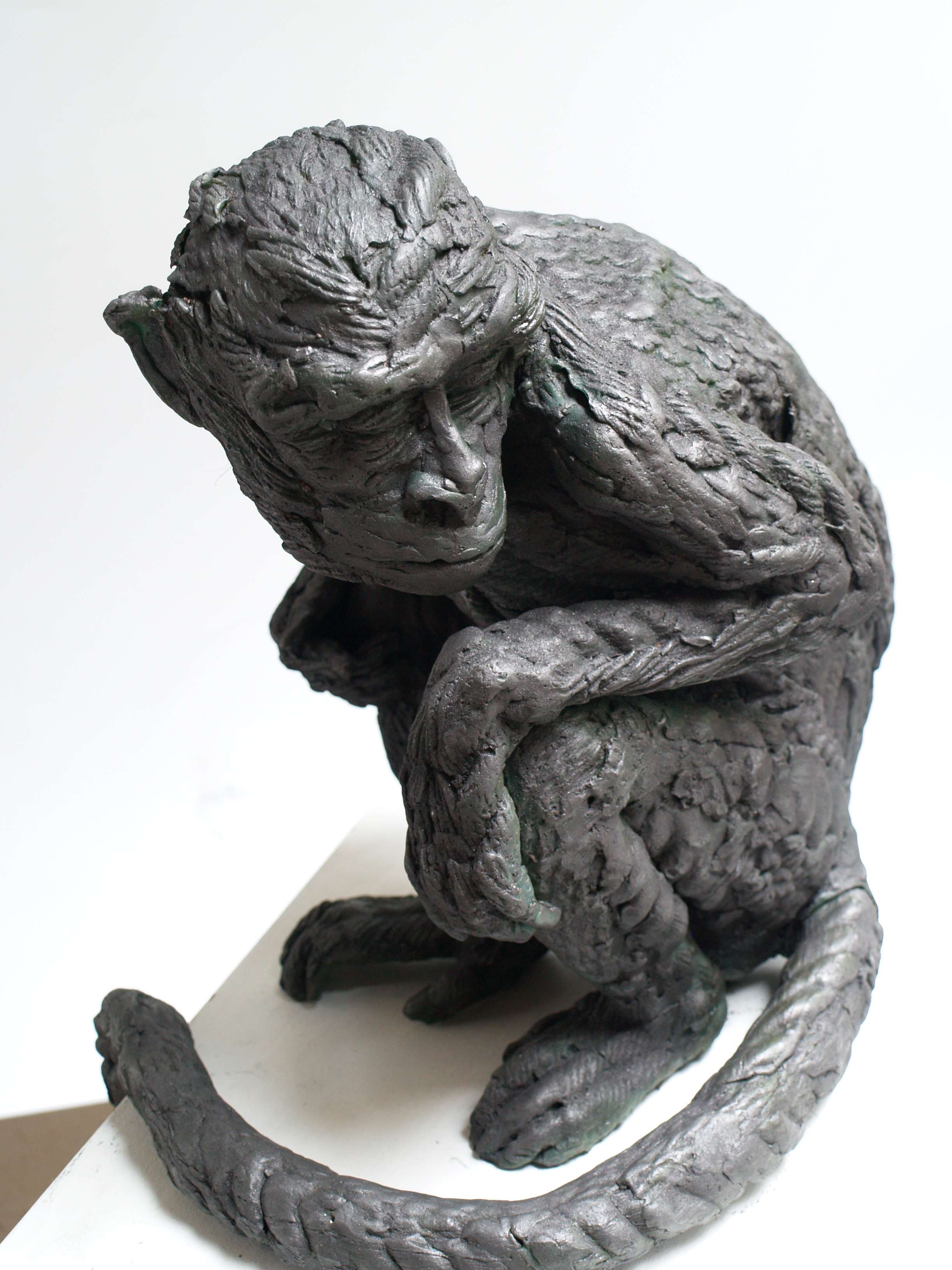 Crescent Monkey