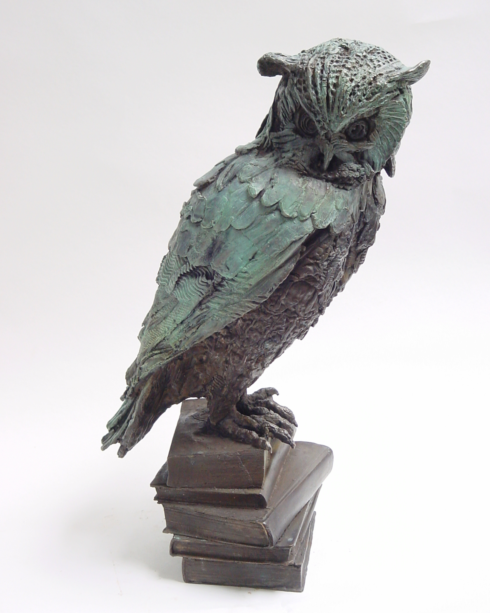 Owl of Few Words