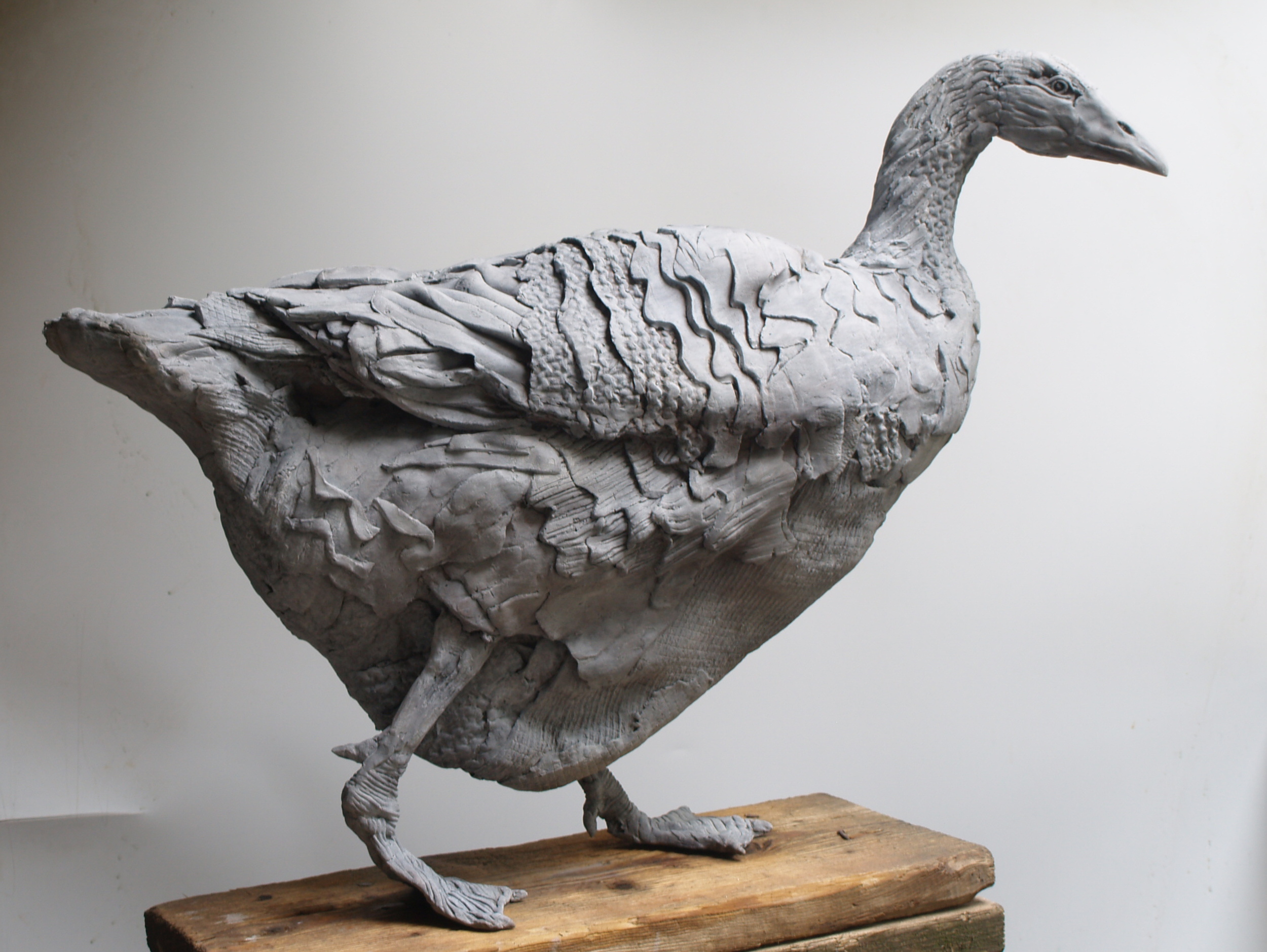 Ganzepas (goose-step)