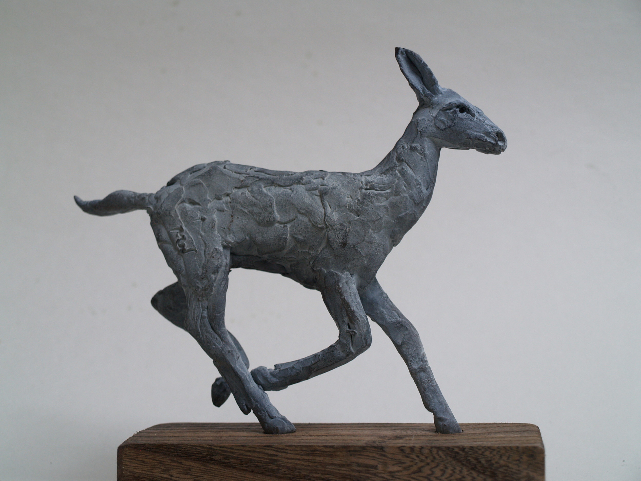 White Doe Running
