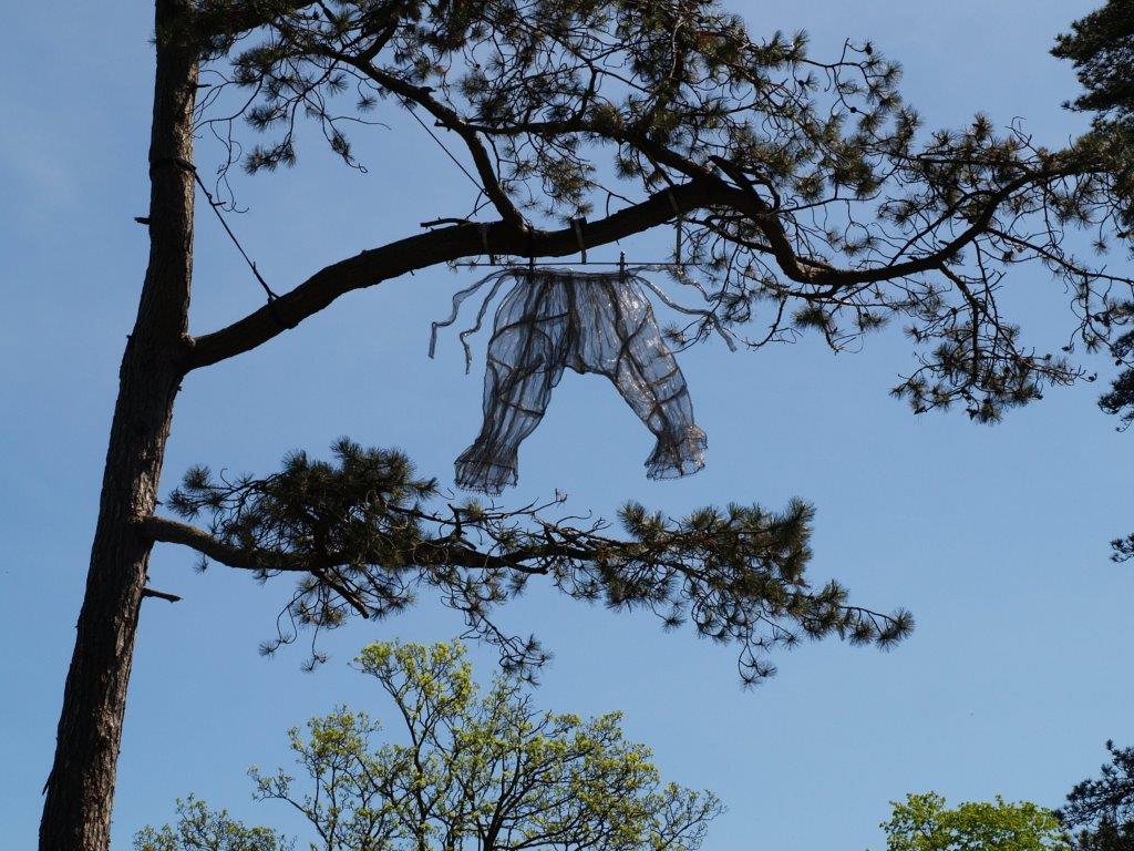 Bloomers