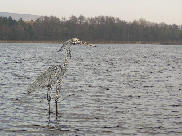 Wader