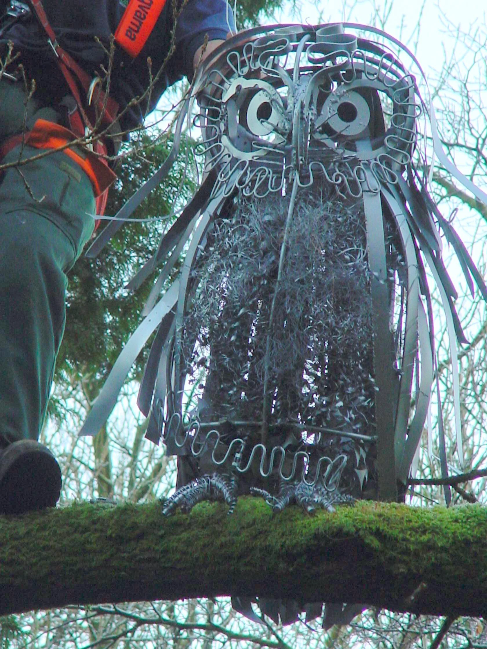 Sentinel