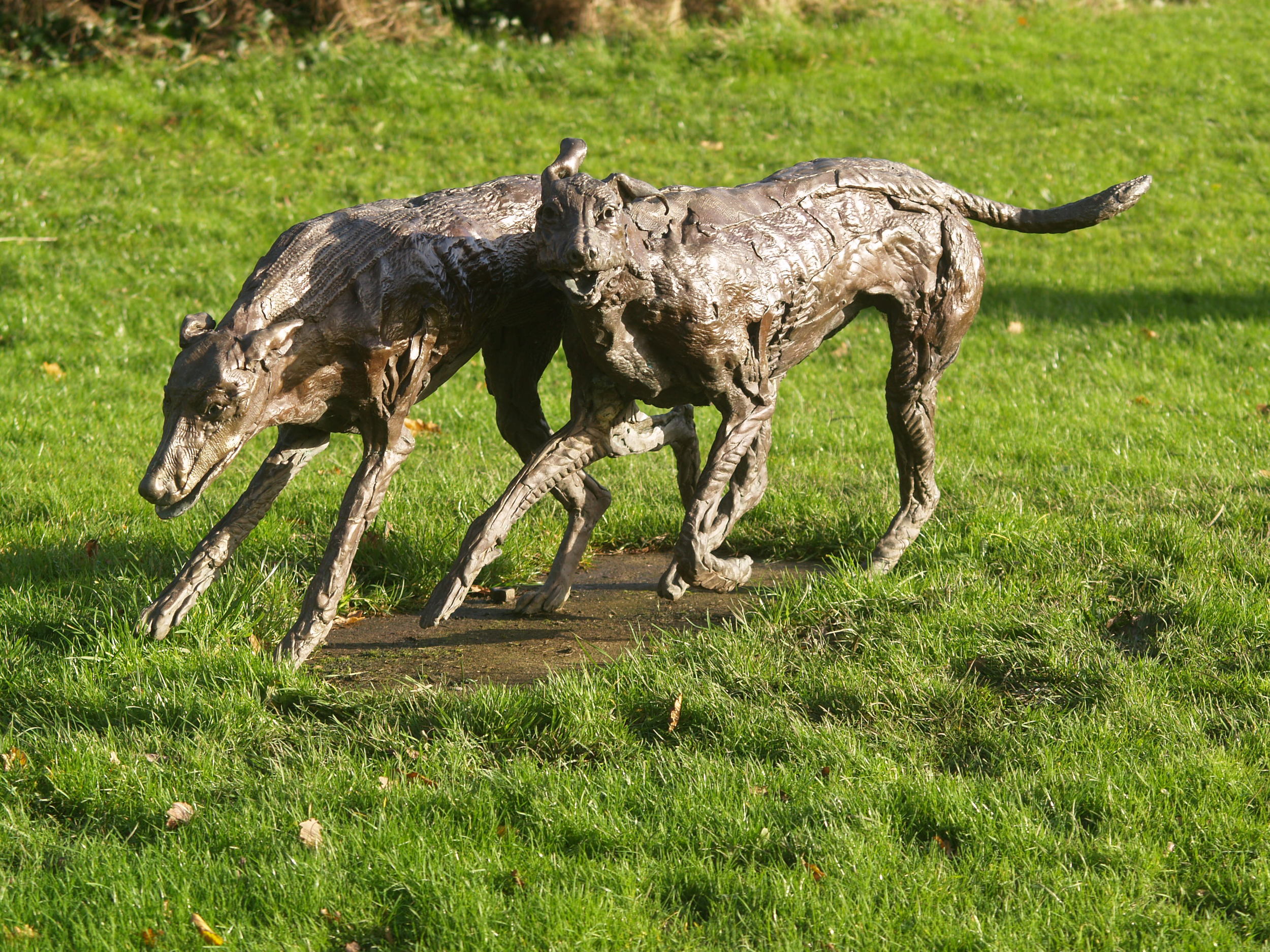 Hunting Hounds