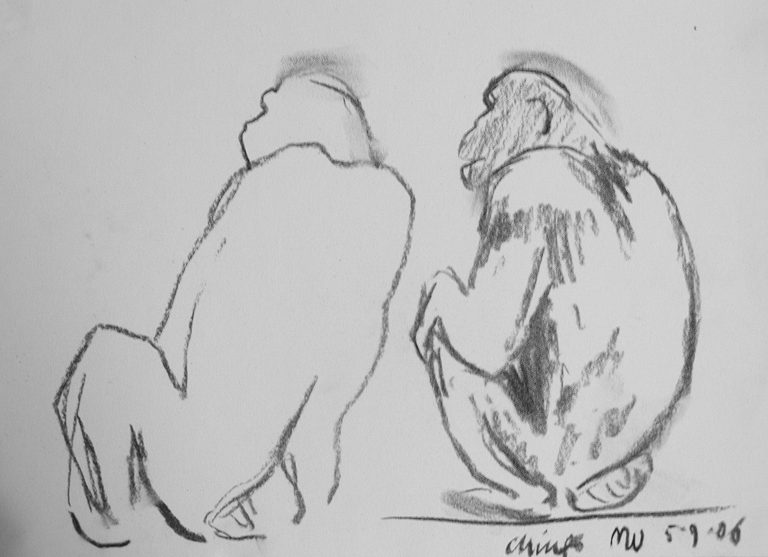 Apes