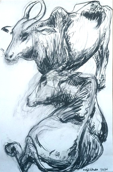 The Year of the Ox