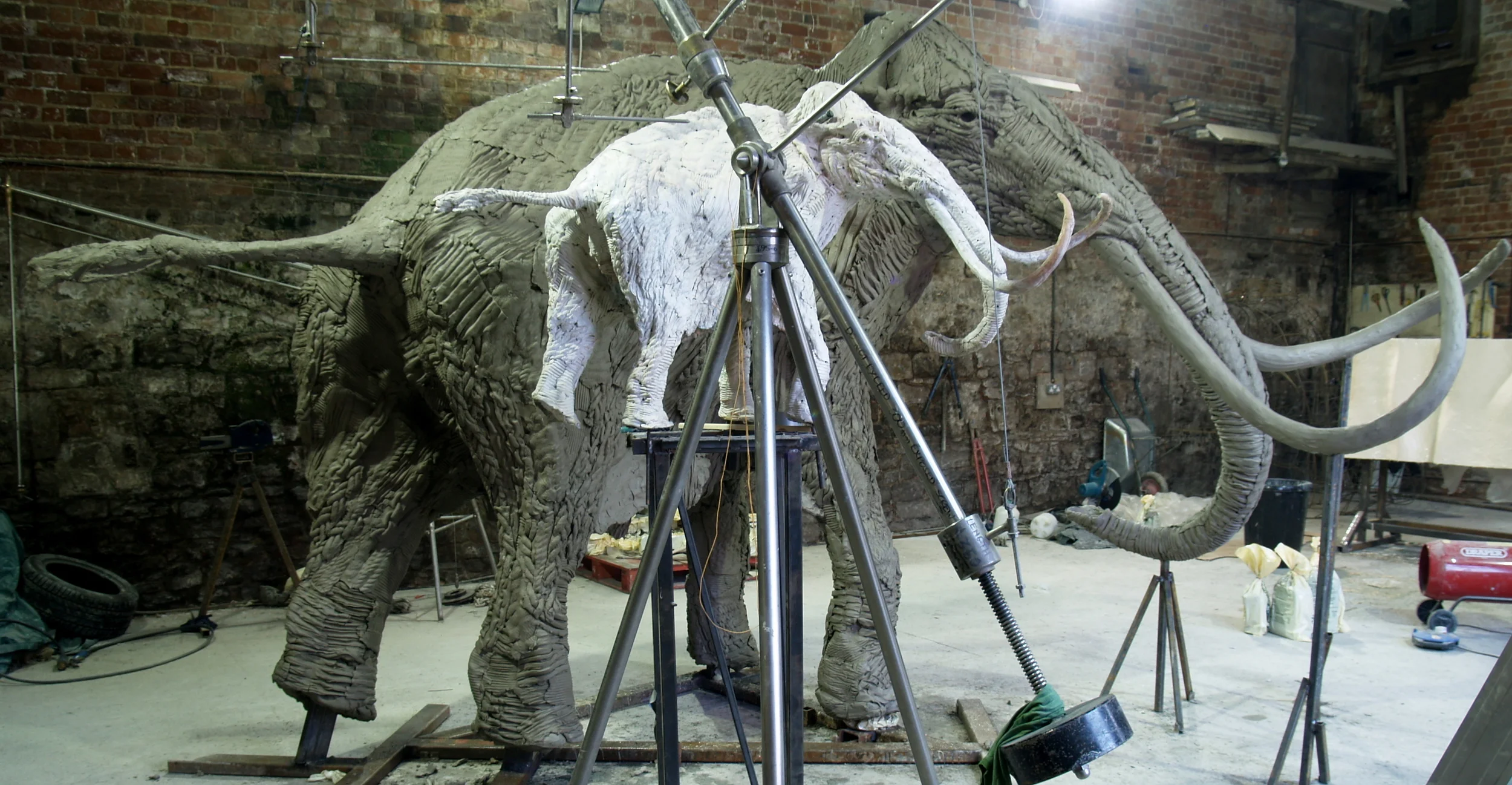 Mammoth enlargement in progress