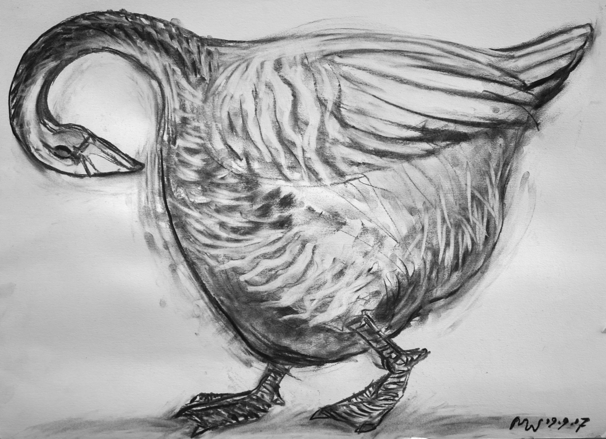 Goose becoming Pitcher