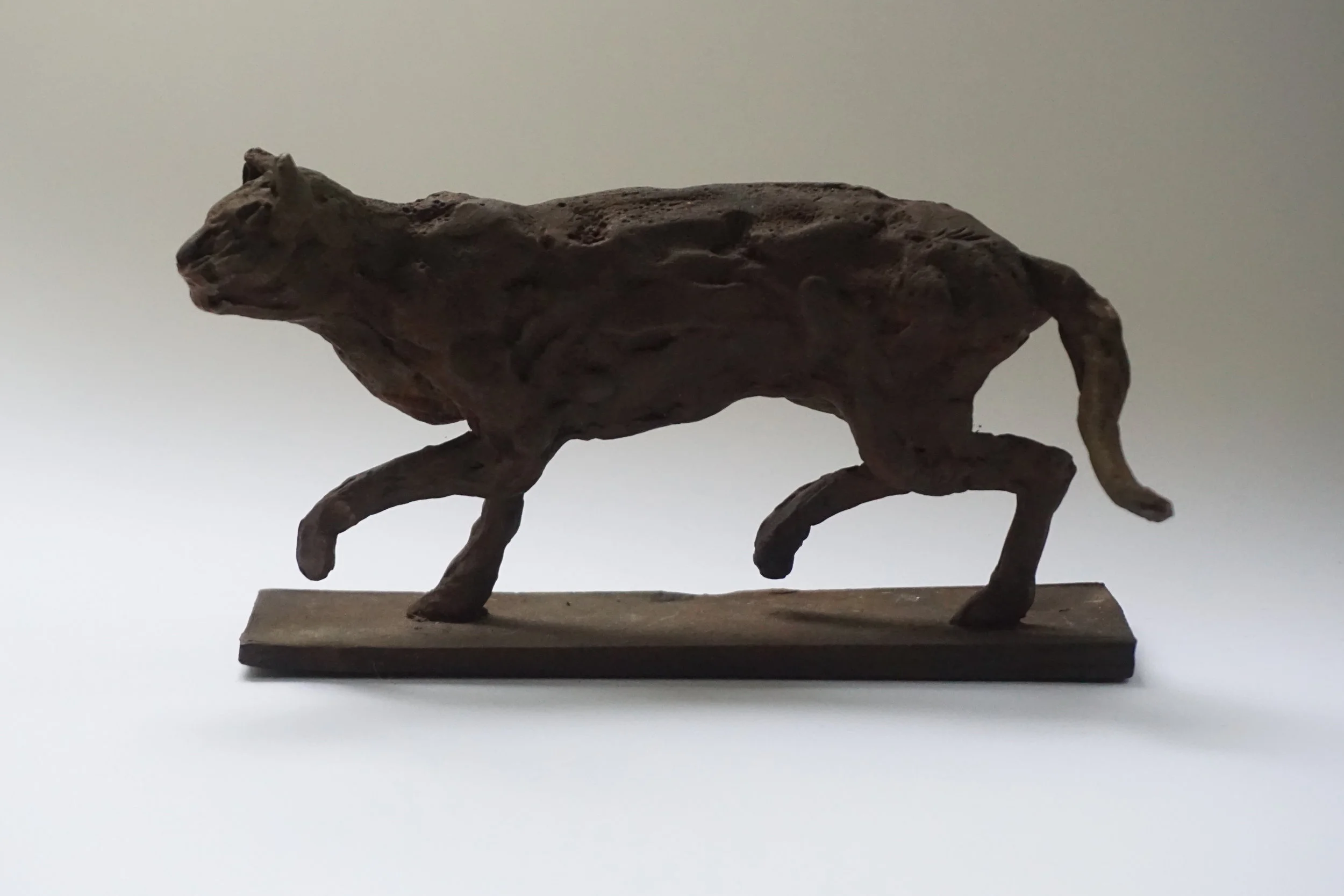 The Cat that Walked by Himself