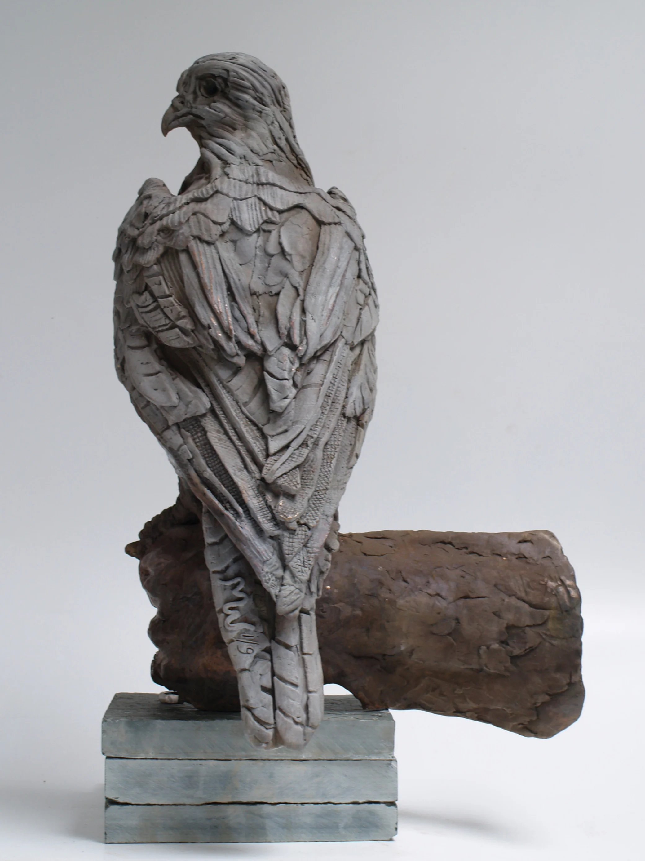 6. bird on the hand - backview.JPG