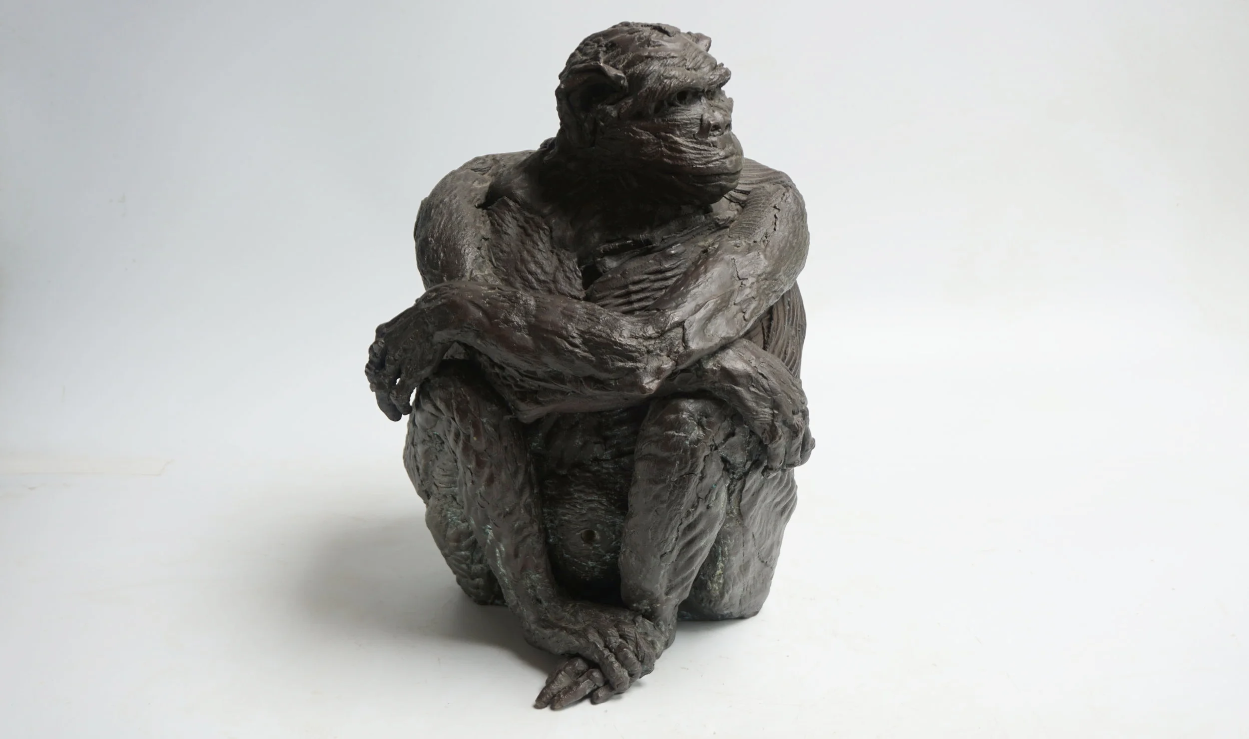 Ape Glancing Sideways