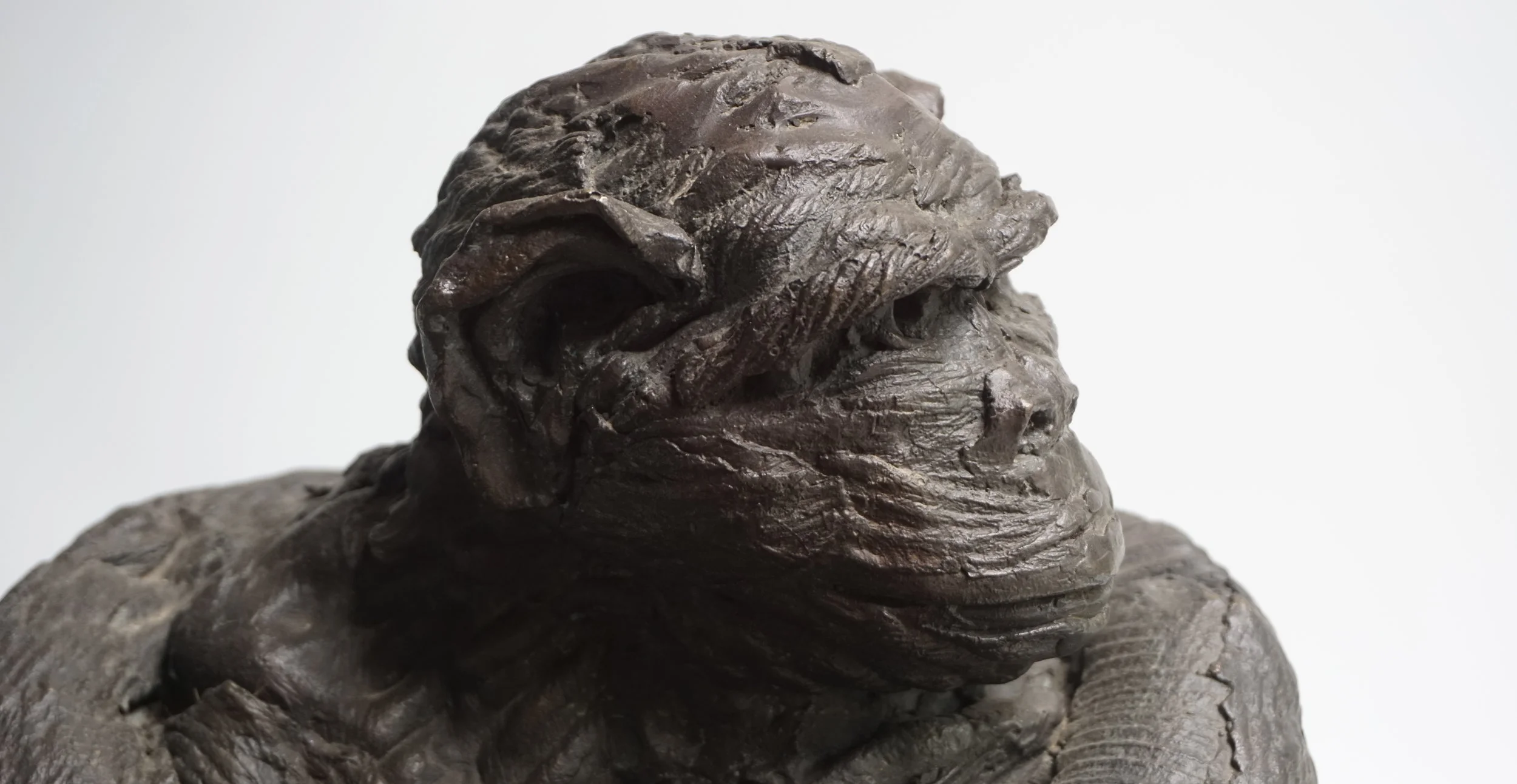 Ape Glancing Sideways (detail)