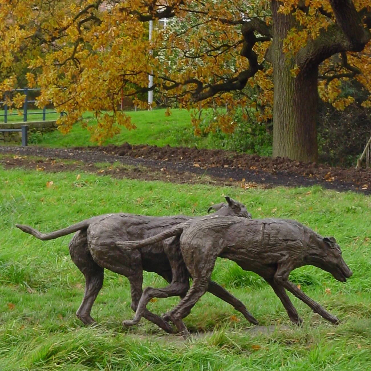 1a. Hounds a-hunting.JPG