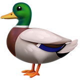 “Quack”