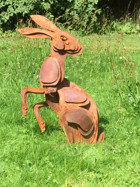 A huge hare to grace the Bowland Fells