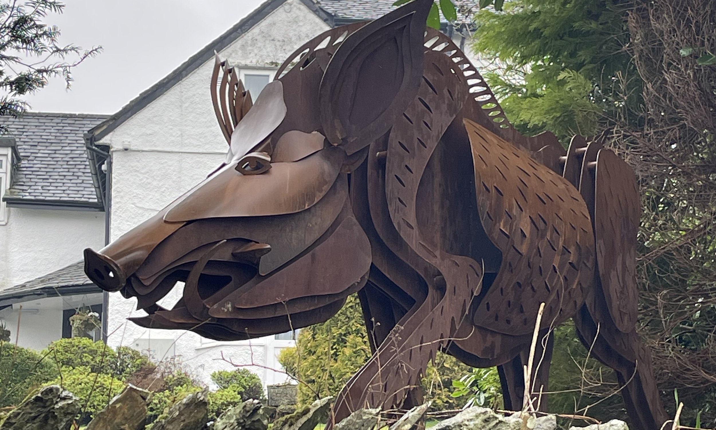 A Wild Boar for the Wild Boar Estate
