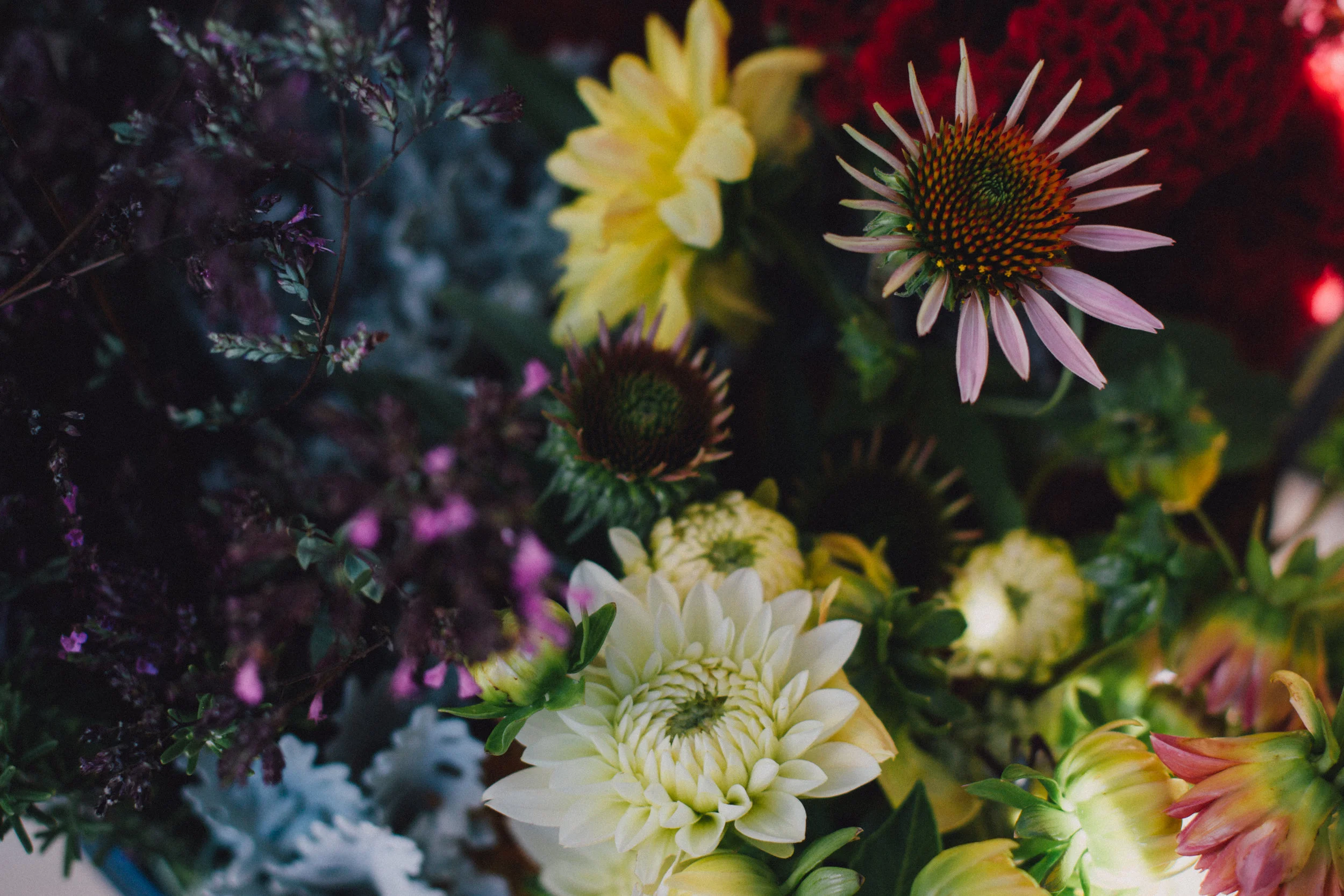 janae alyssa lloyd photography