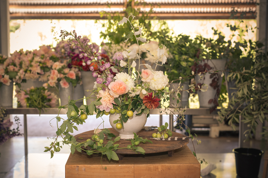 The little petunia arrangement at b-side farm - roger elliot photography 