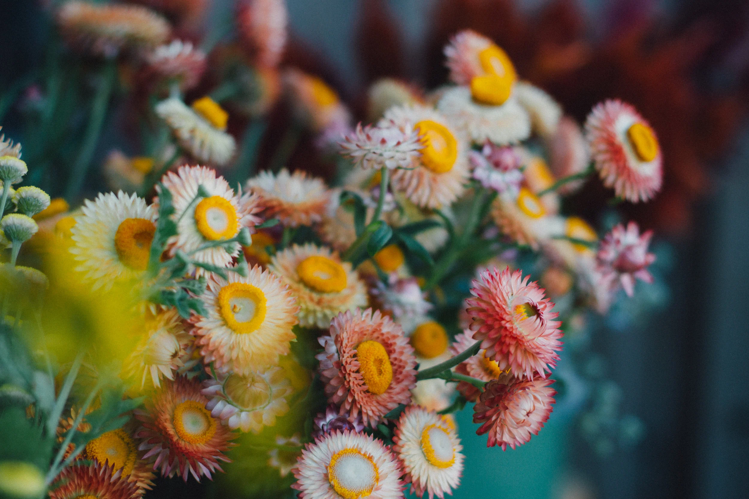 FlowerFestival2015-53.jpg