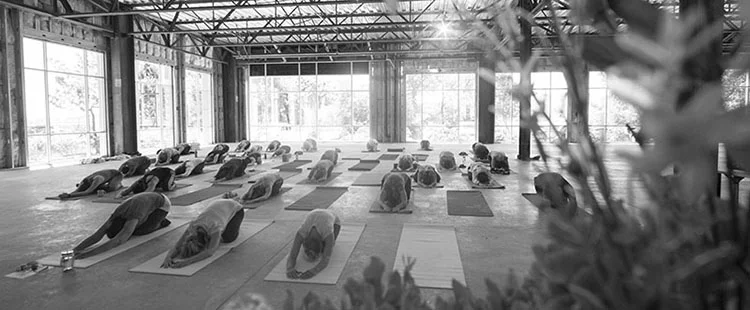 1st International Yoga Day 2015_DSF6125.jpg