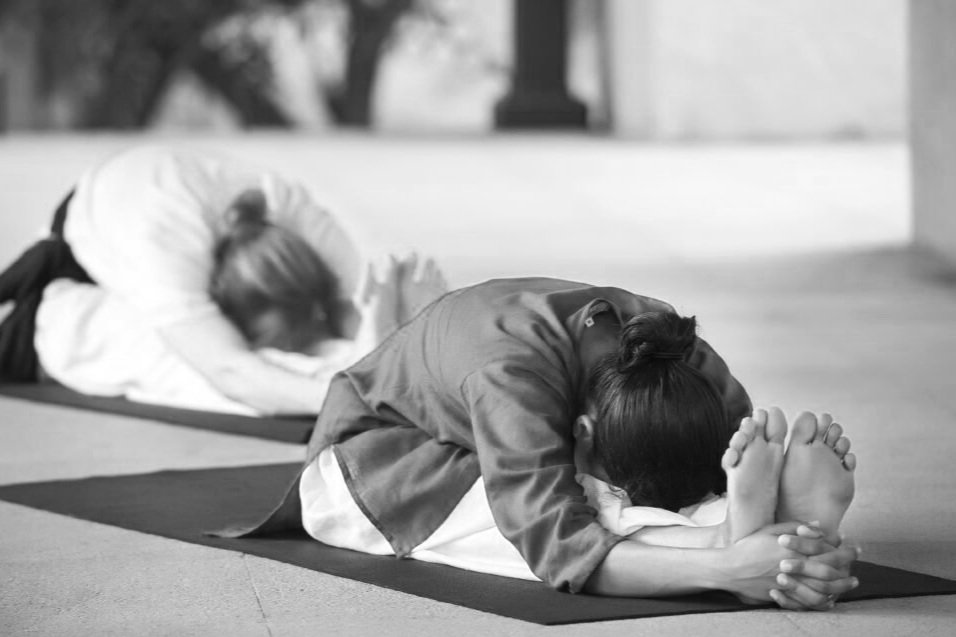 REVIEW Yogasanas (Intermediate) — DC Hatha Yoga