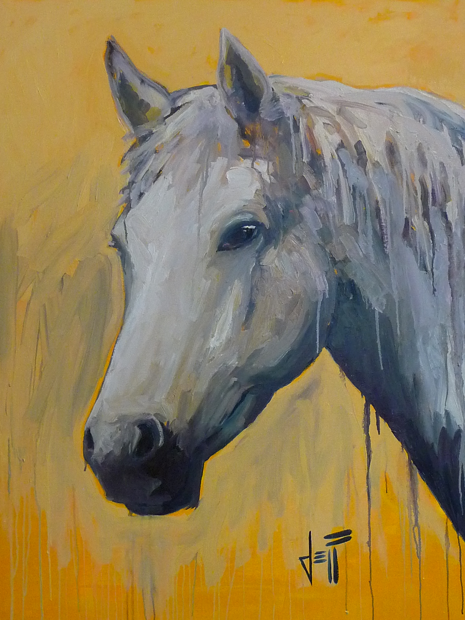  Horse Head-acrylic on canvas 48” x 36” ~SOLD 