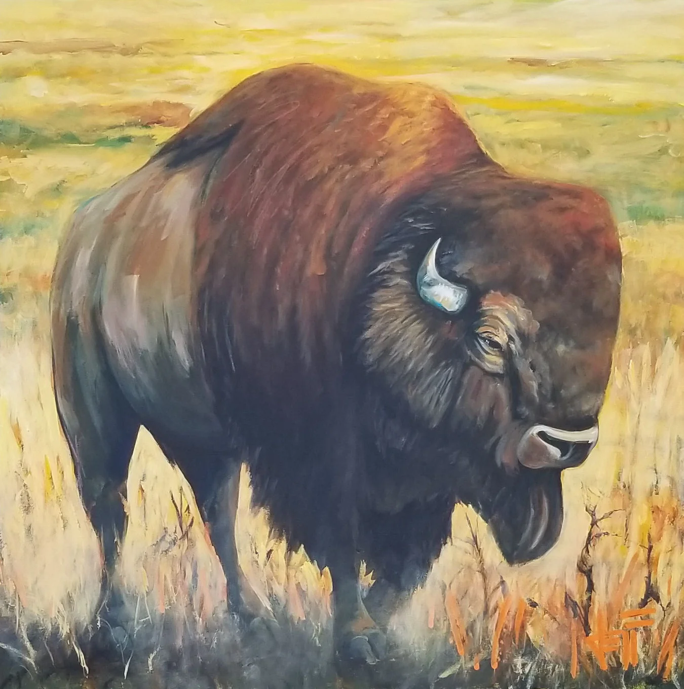 Kick The Dust Up-acrylic on canvas 36” x 36” ~$1800