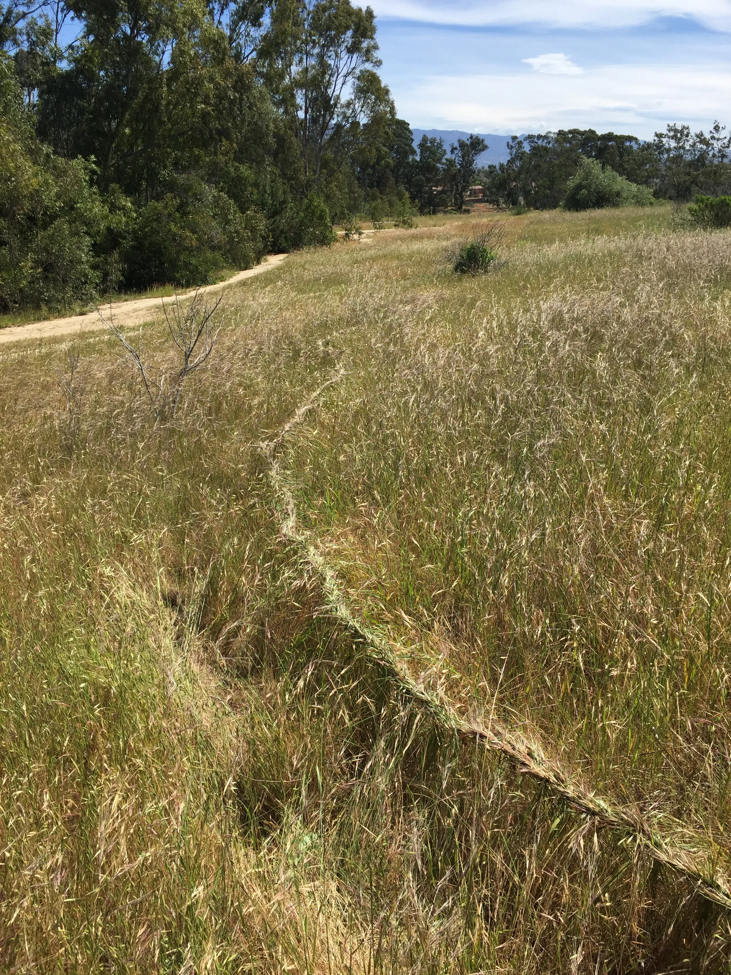  A piece from the land-art unit.&nbsp; 