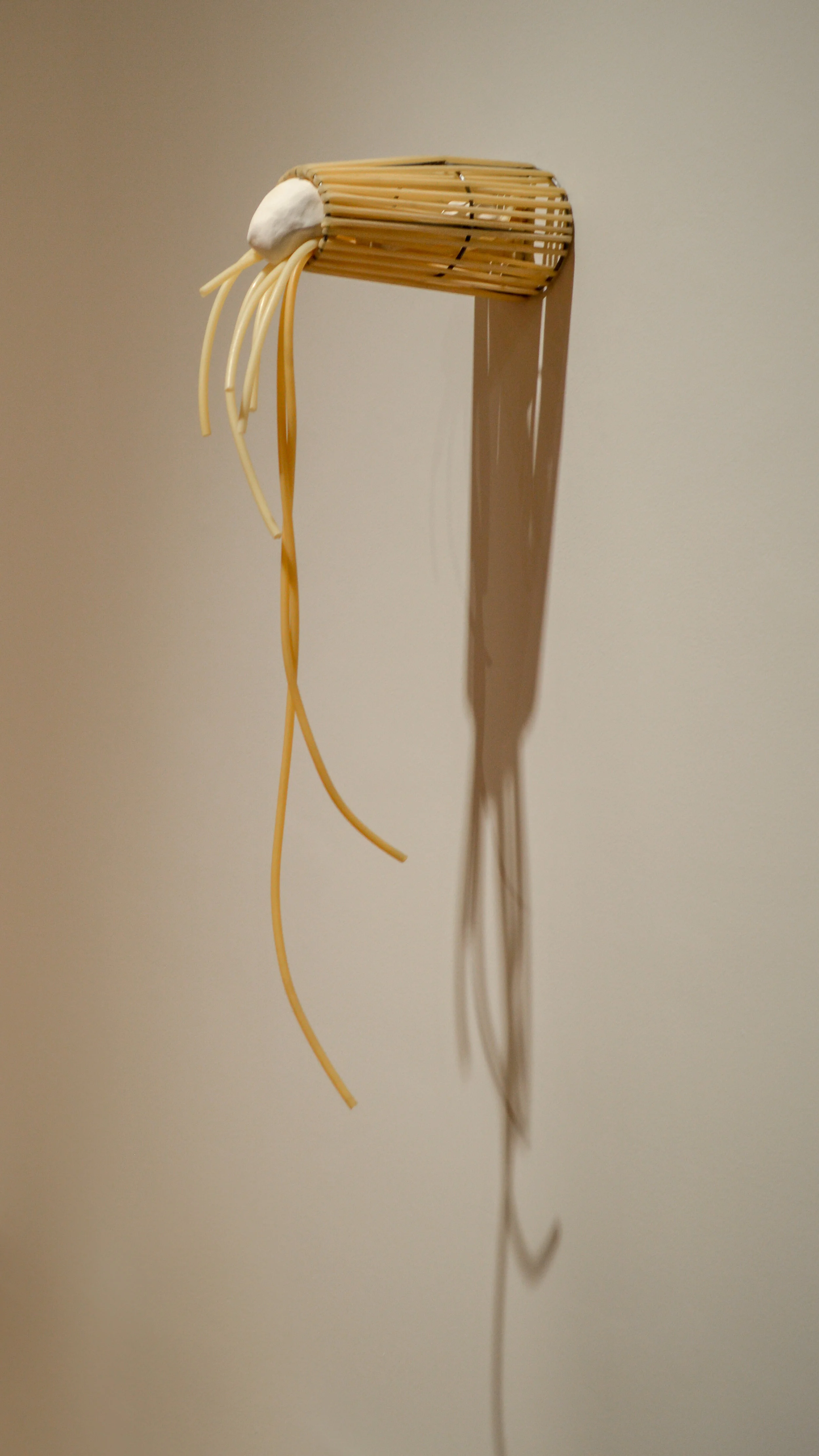 DSC_0110-1.jpg