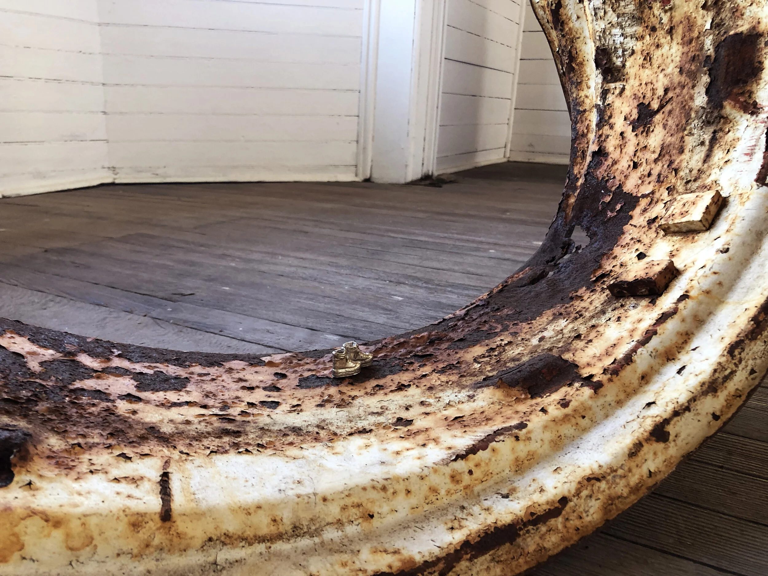IMG_8542.jpg
