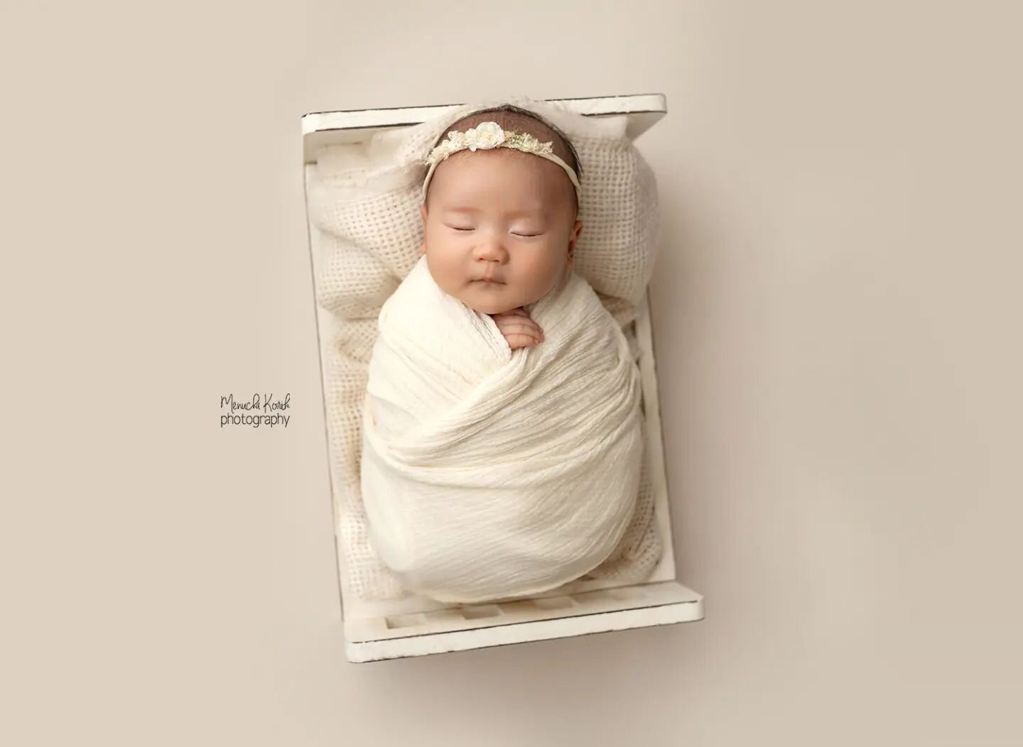 This is Alice, snug as a bug in a teeny tiny little bed at 7 weeks old! 

#newbornphotographer #babyphotographer #menuchakorikphotography #babyphotography #melbournemade #madeinau #babyprops #newbornprops #propaddict #instababy #newbornsession #melbo