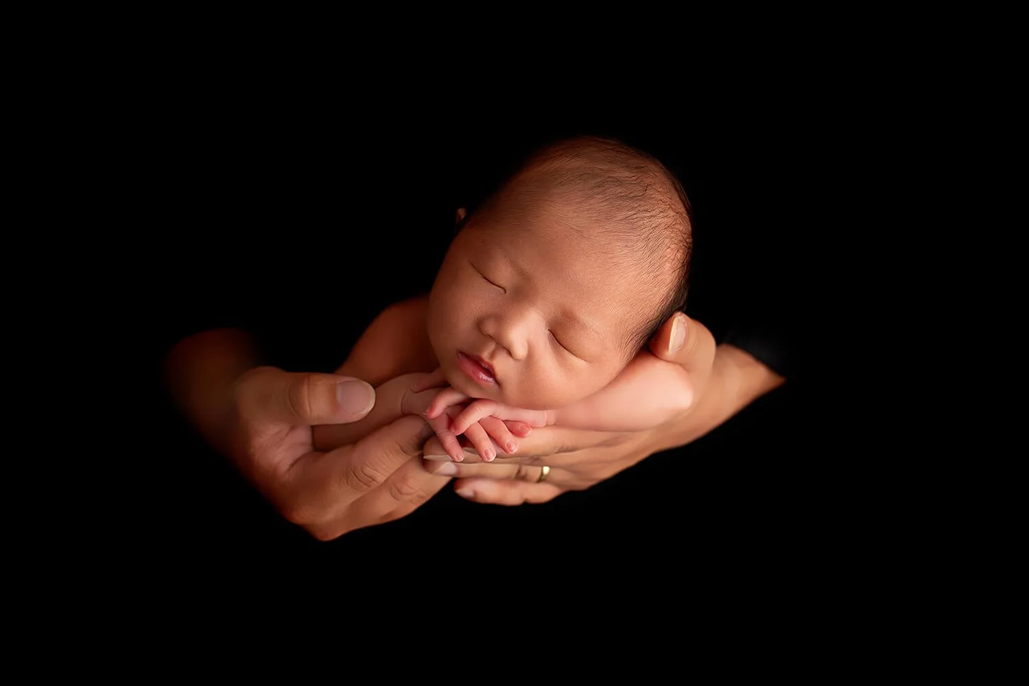newborn baby in daddy's hands in melbourne newborn studio