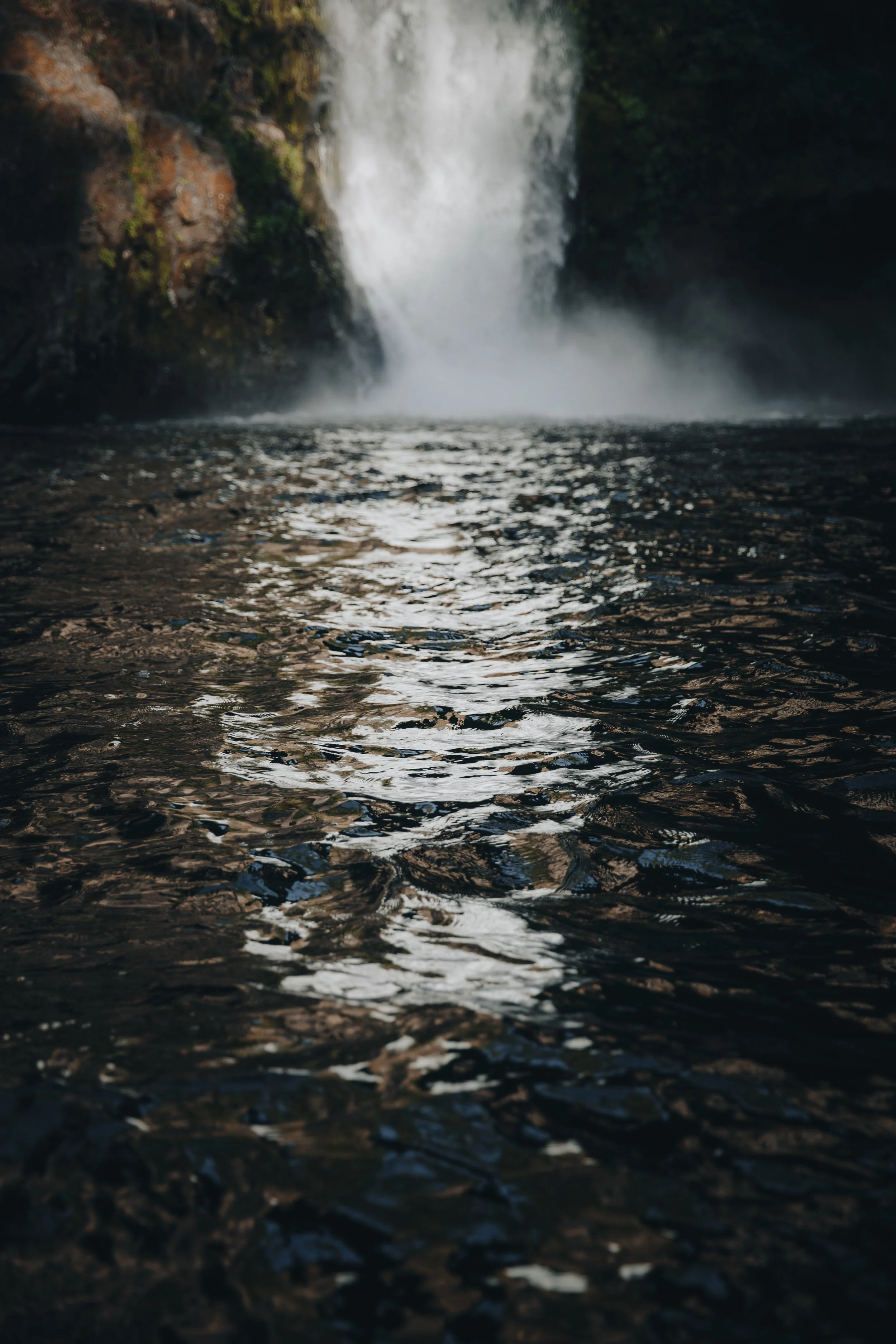 Overview-81.jpg
