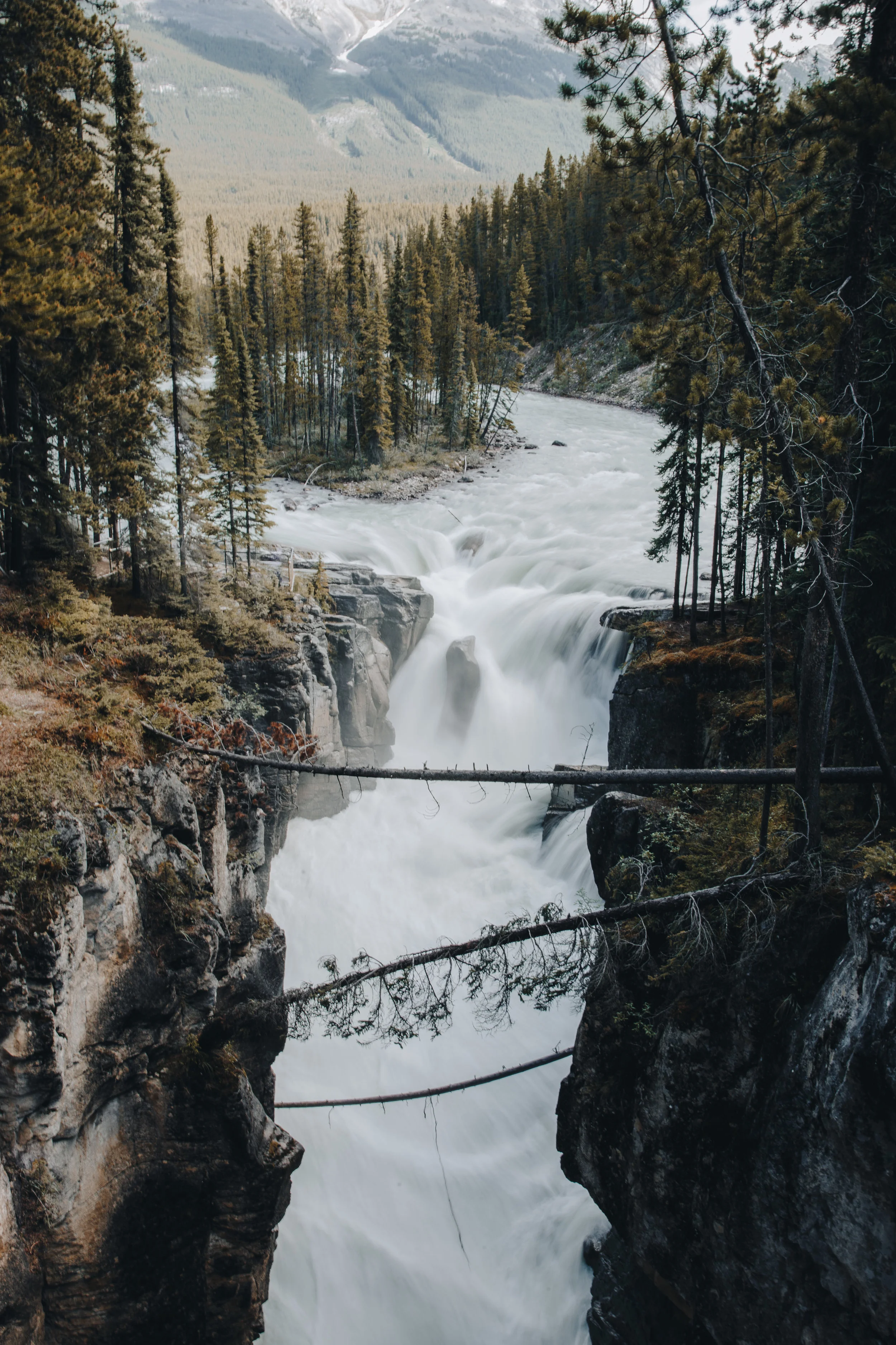 Overview-85.jpg