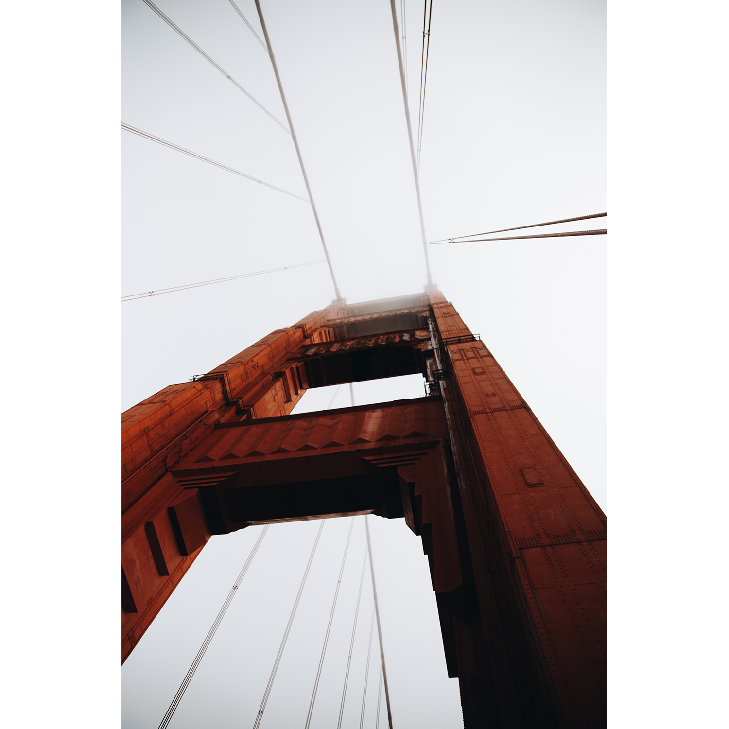 20190625-29_Blank.png
